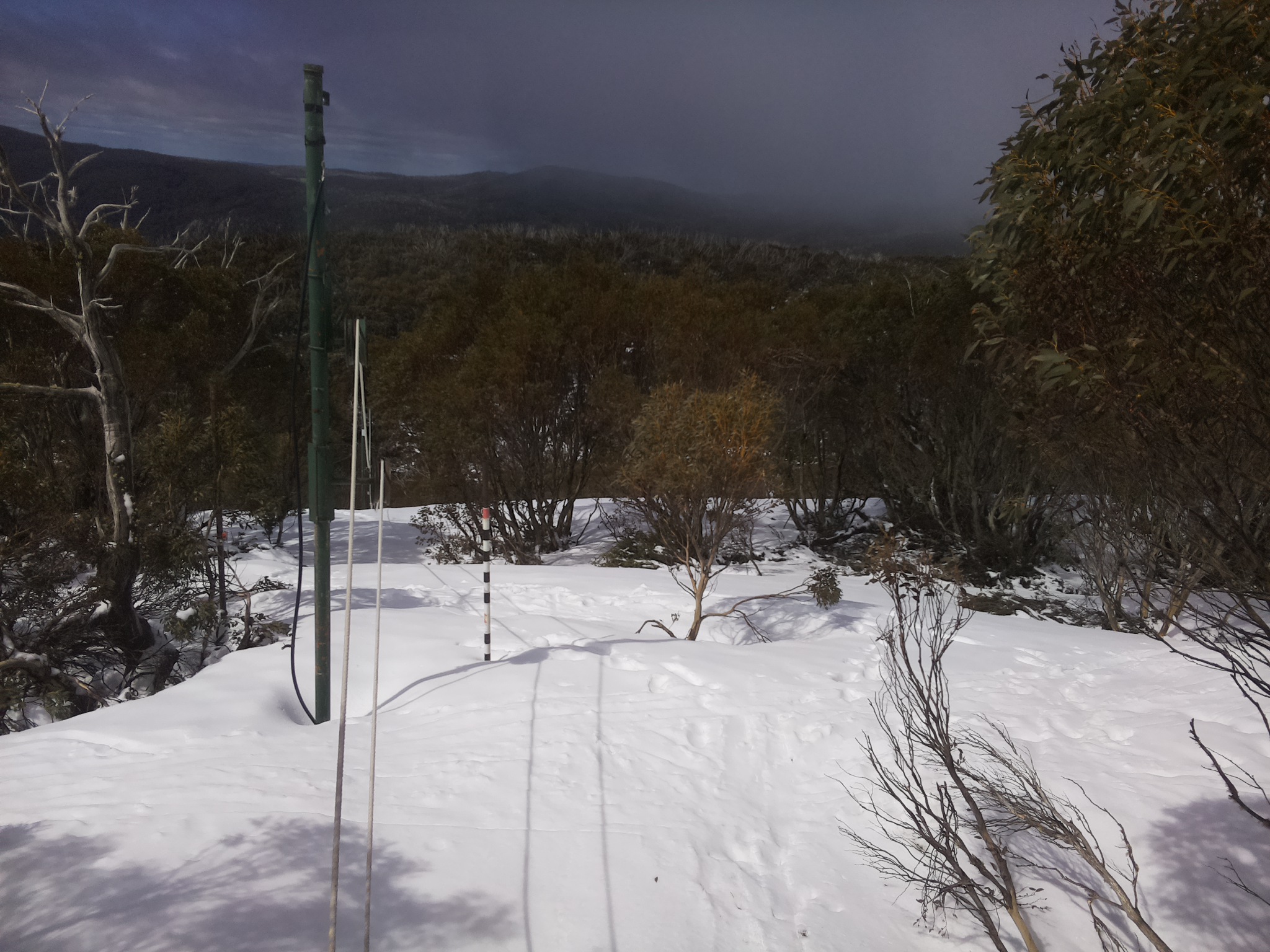 Bogong Web Cam 10:40am Friday 3rd of October 2025