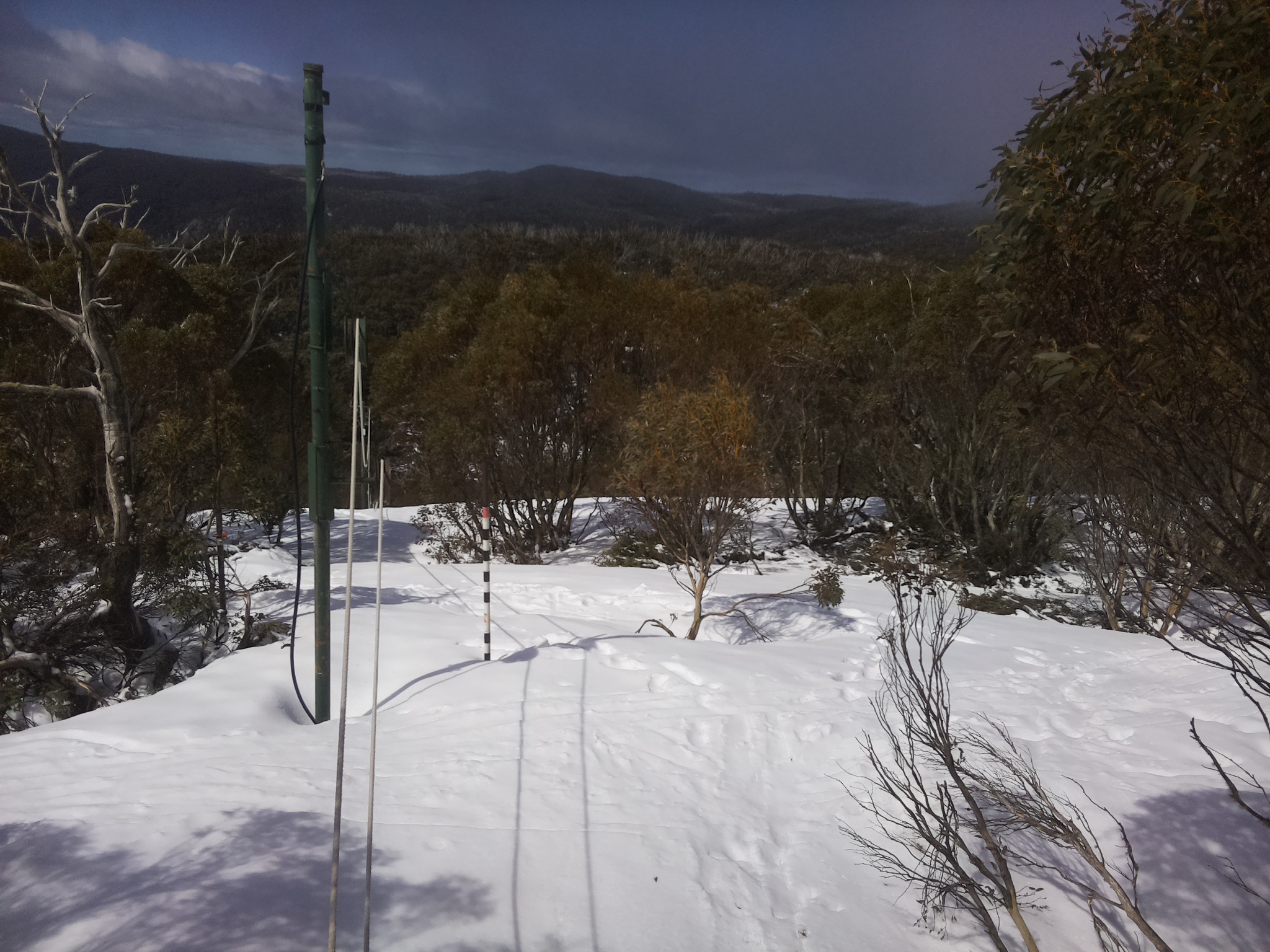 Bogong Web Cam 10:50am Friday 3rd of October 2025