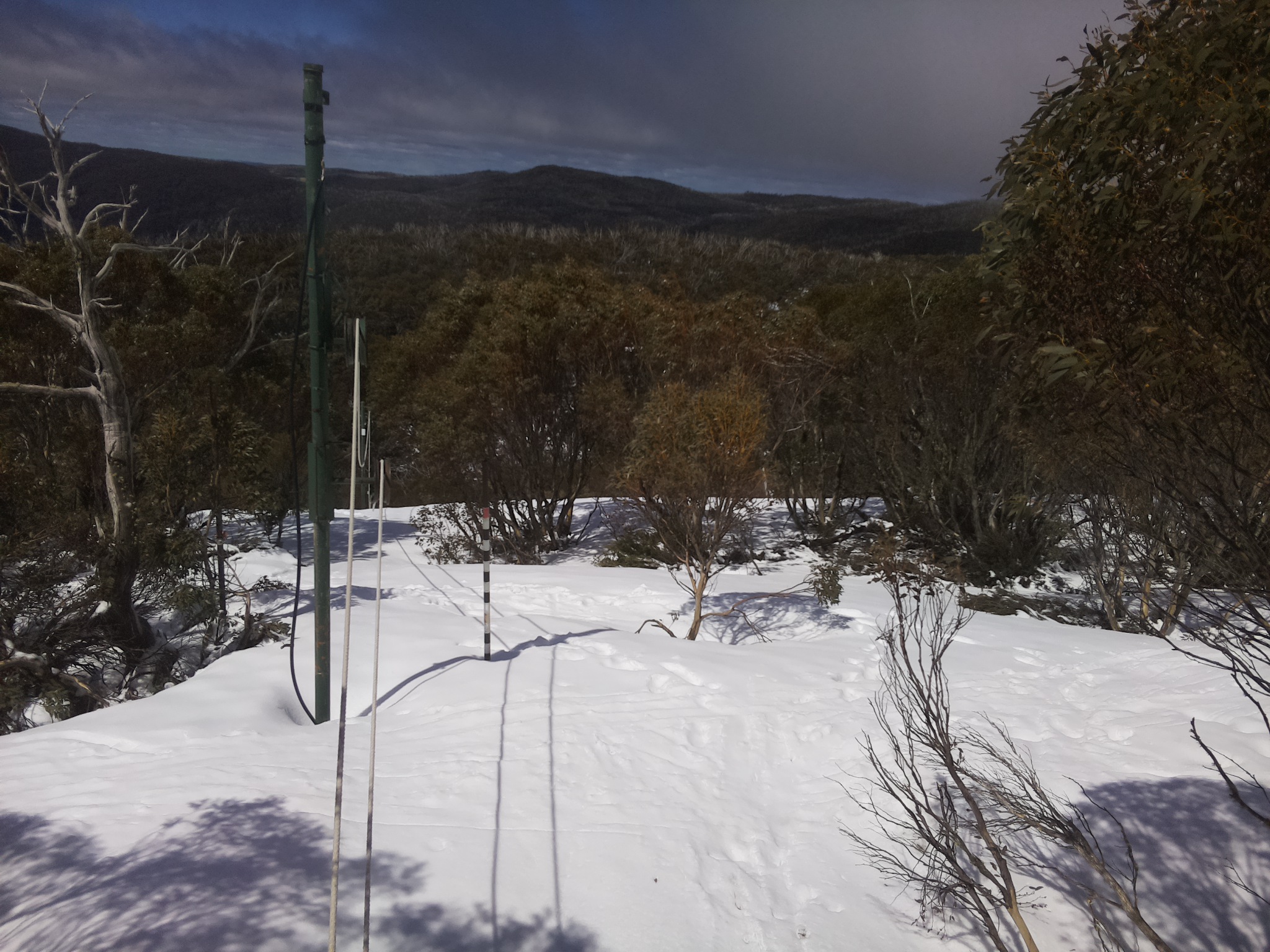 Bogong Web Cam 11:10am Friday 3rd of October 2025