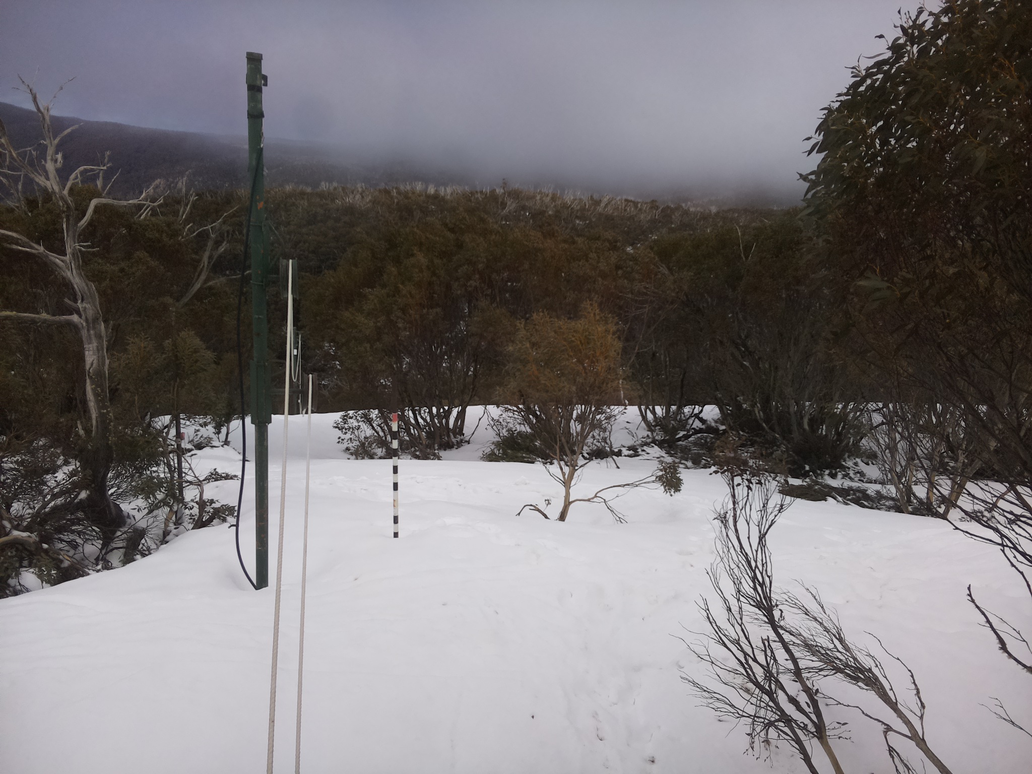 Bogong Web Cam 11:20am Friday 3rd of October 2025