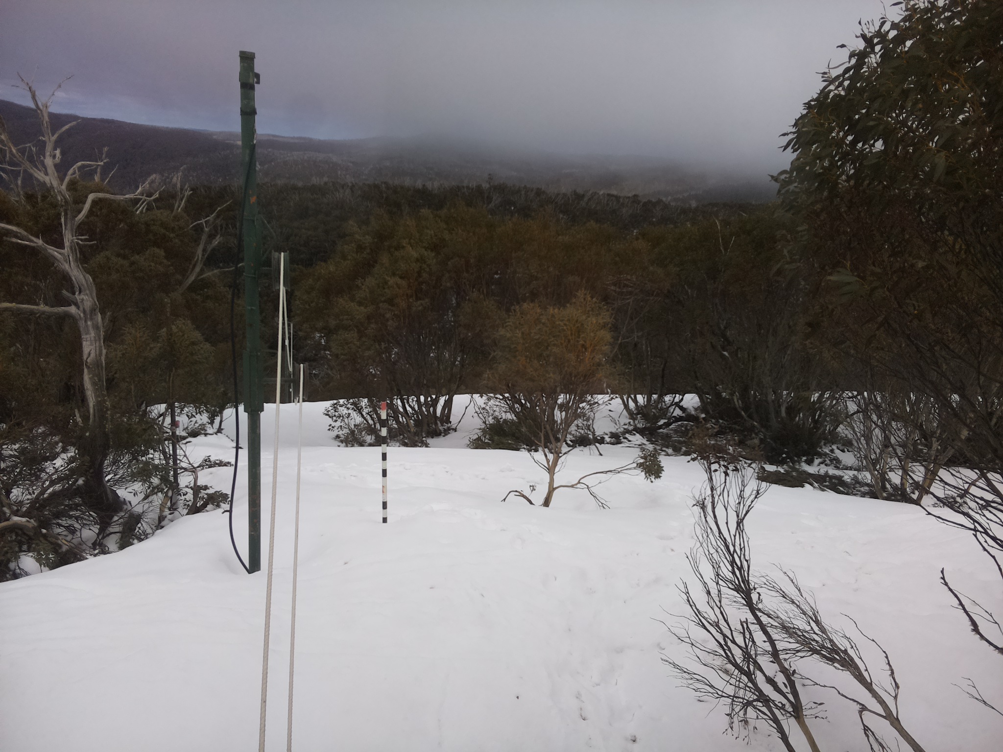 Bogong Web Cam 11:40am Friday 3rd of October 2025