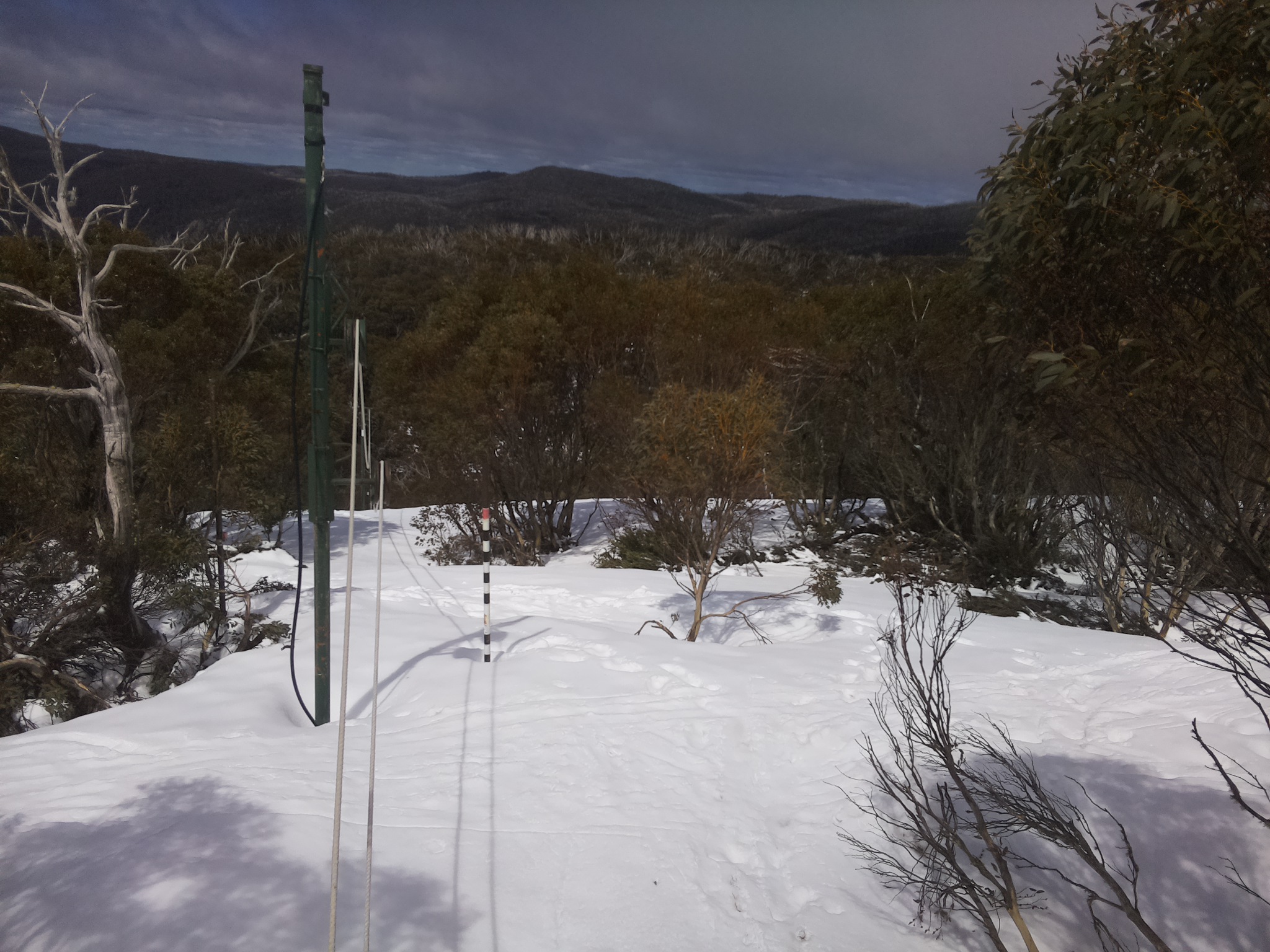 Bogong Web Cam 11:50am Friday 3rd of October 2025