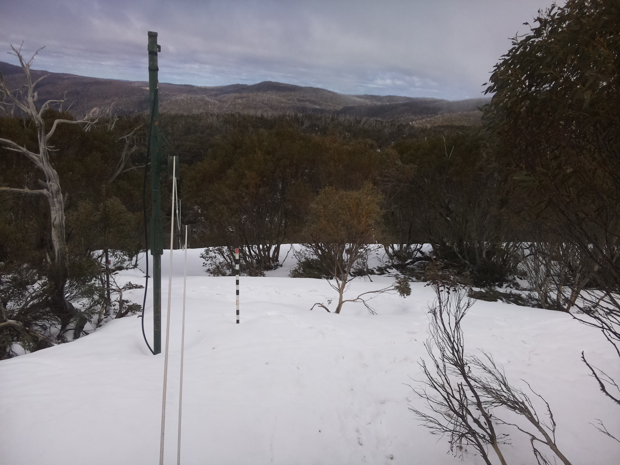 Bogong Web Cam 12:00pm Friday 3rd of October 2025