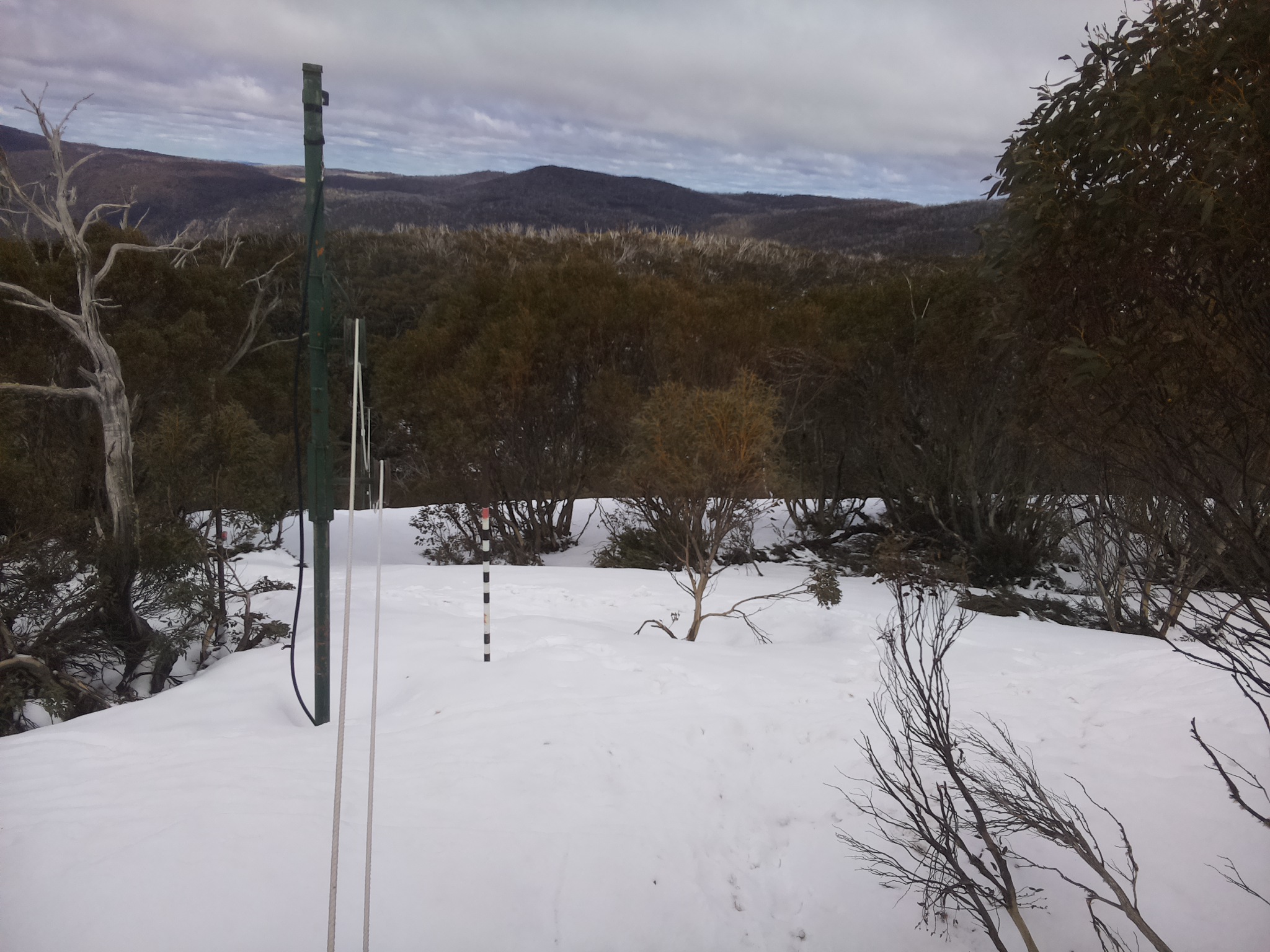 Bogong Web Cam 12:10pm Friday 3rd of October 2025