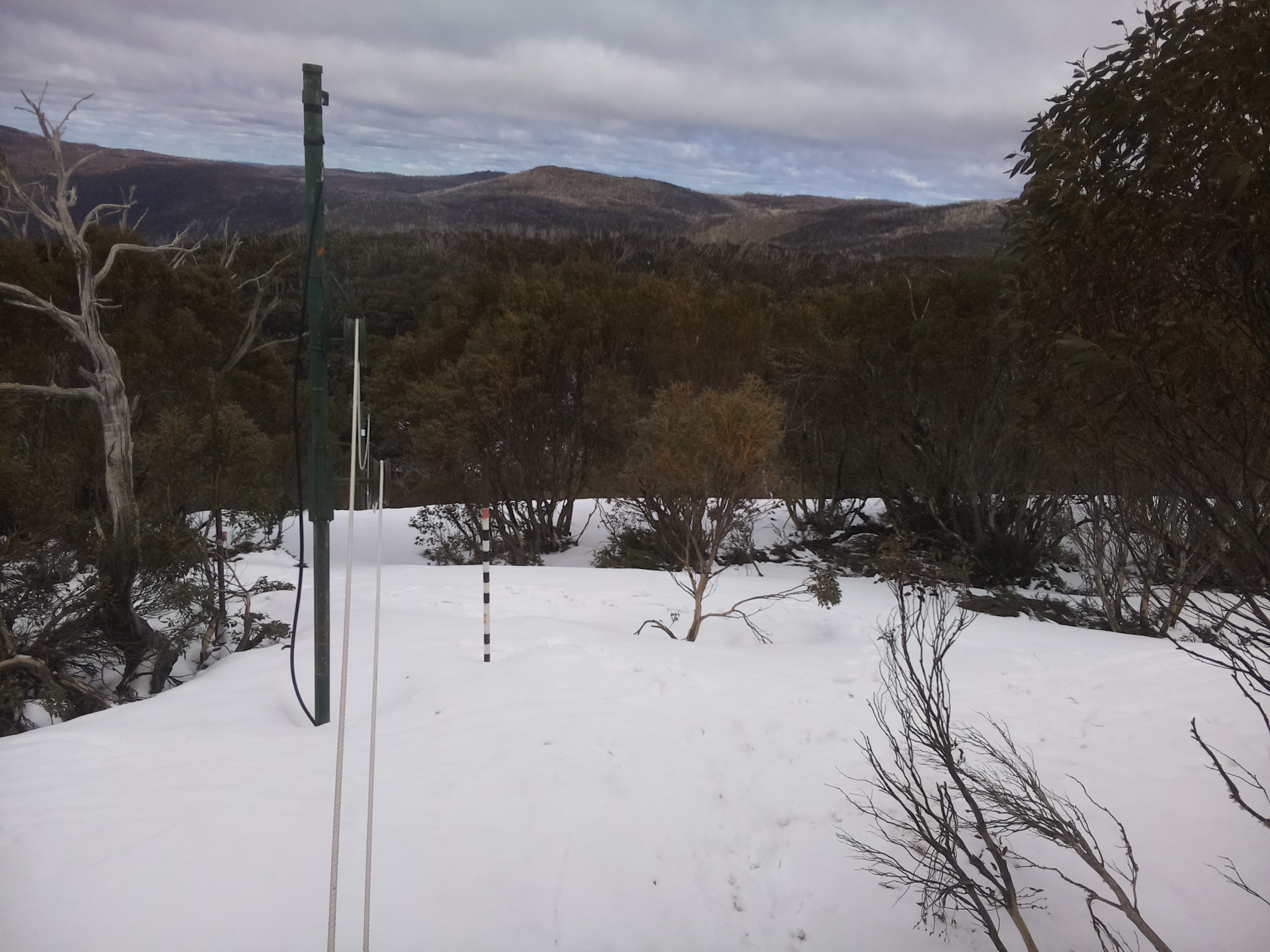 Bogong Web Cam 12:20pm Friday 3rd of October 2025