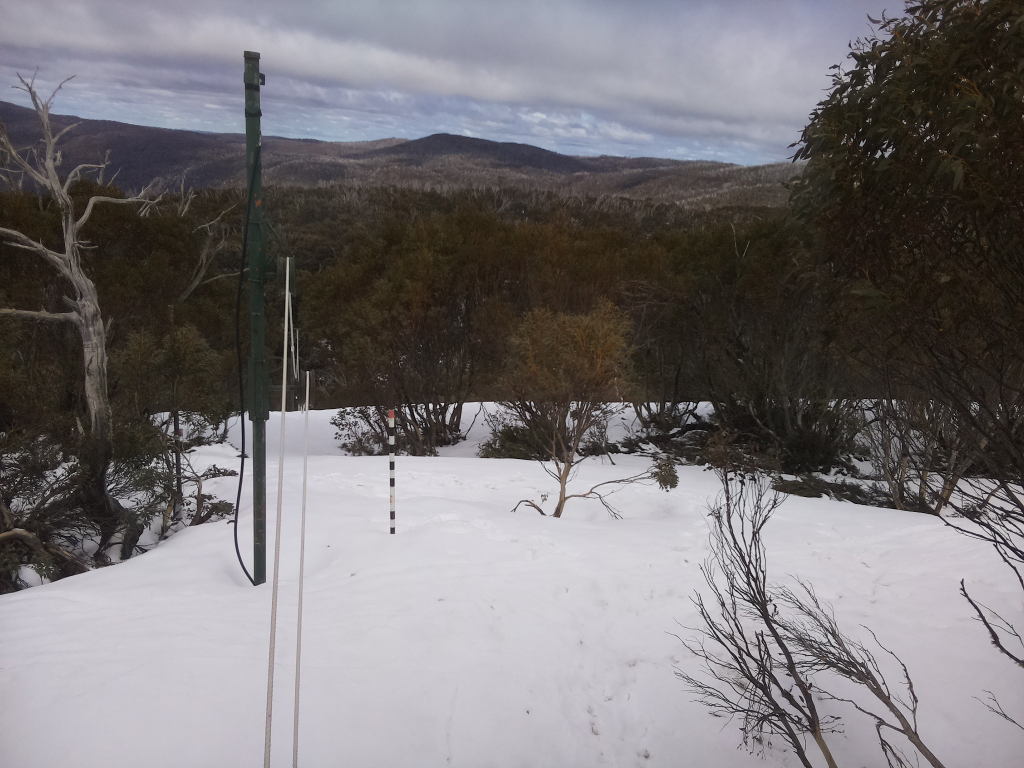 Bogong Web Cam 12:30pm Friday 3rd of October 2025
