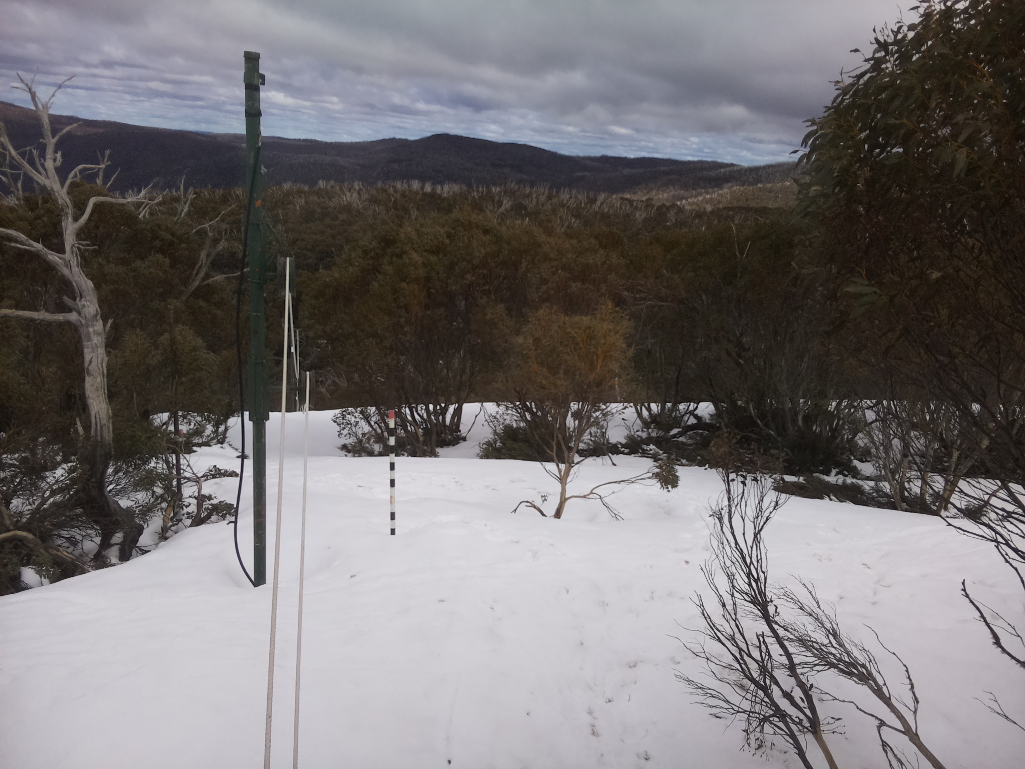 Bogong Web Cam 1:20pm Friday 3rd of October 2025
