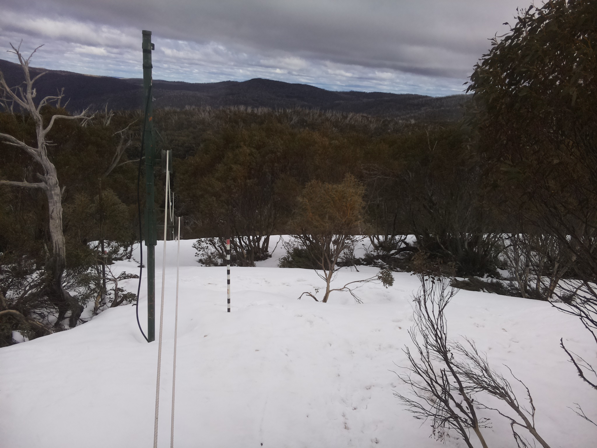 Bogong Web Cam 1:30pm Friday 3rd of October 2025