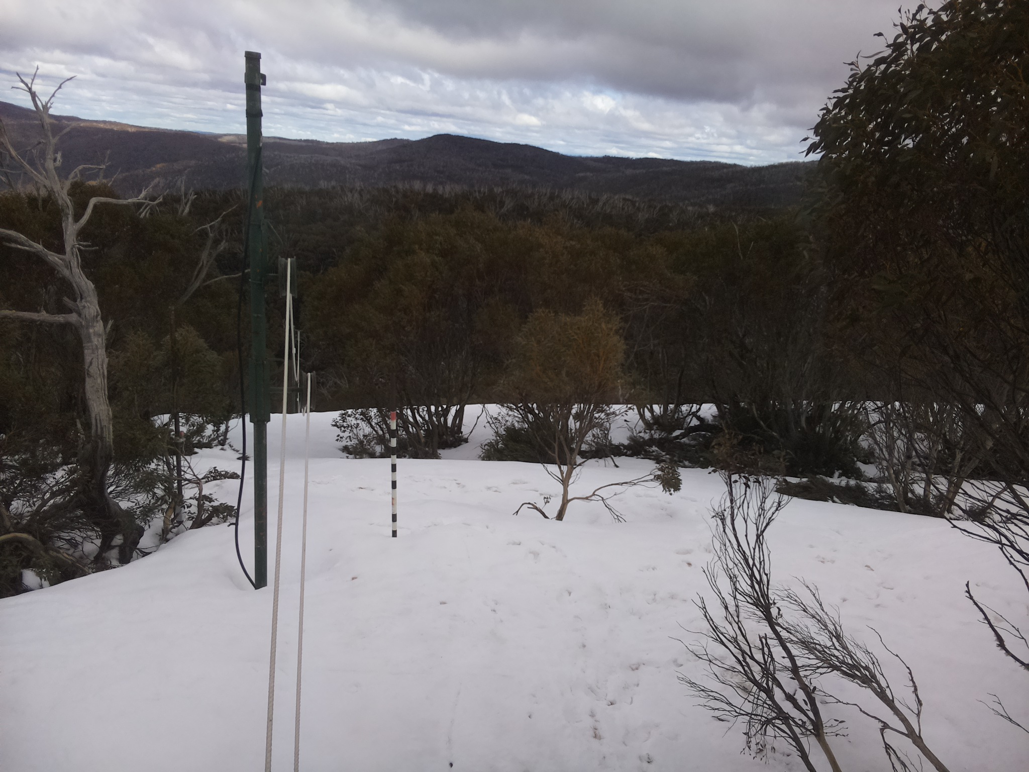 Bogong Web Cam 1:50pm Friday 3rd of October 2025