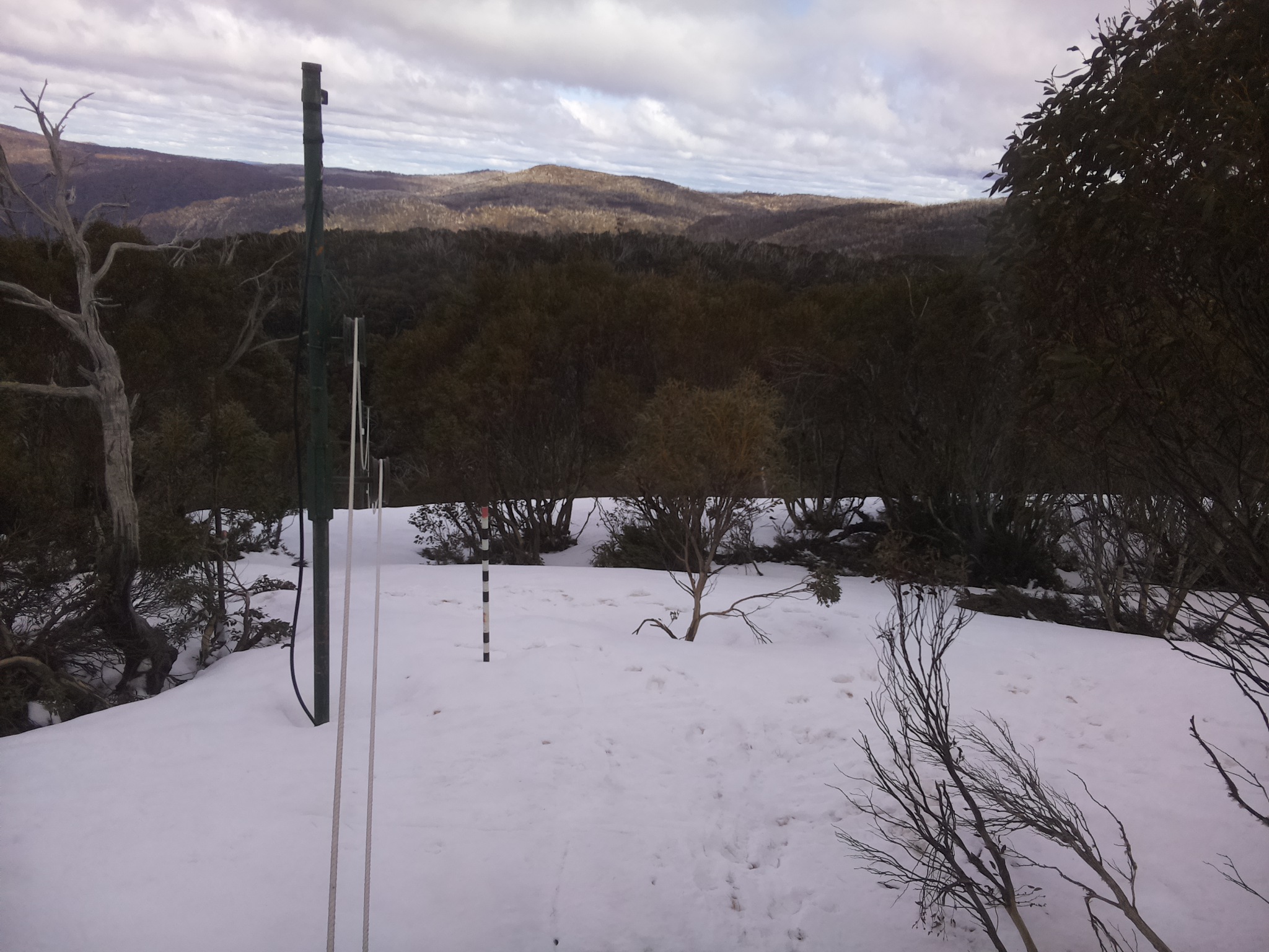 Bogong Web Cam 2:10pm Friday 3rd of October 2025