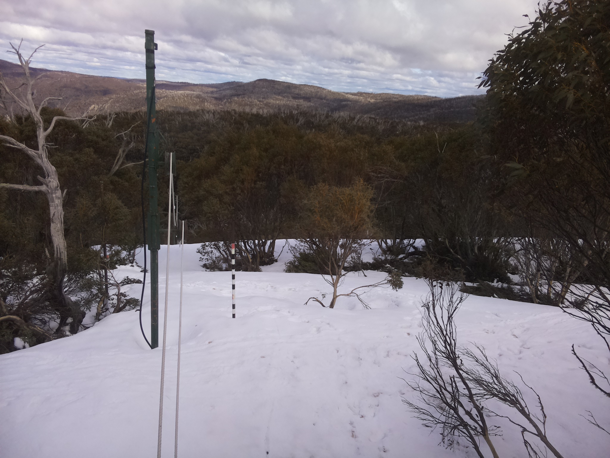 Bogong Web Cam 2:30pm Friday 3rd of October 2025