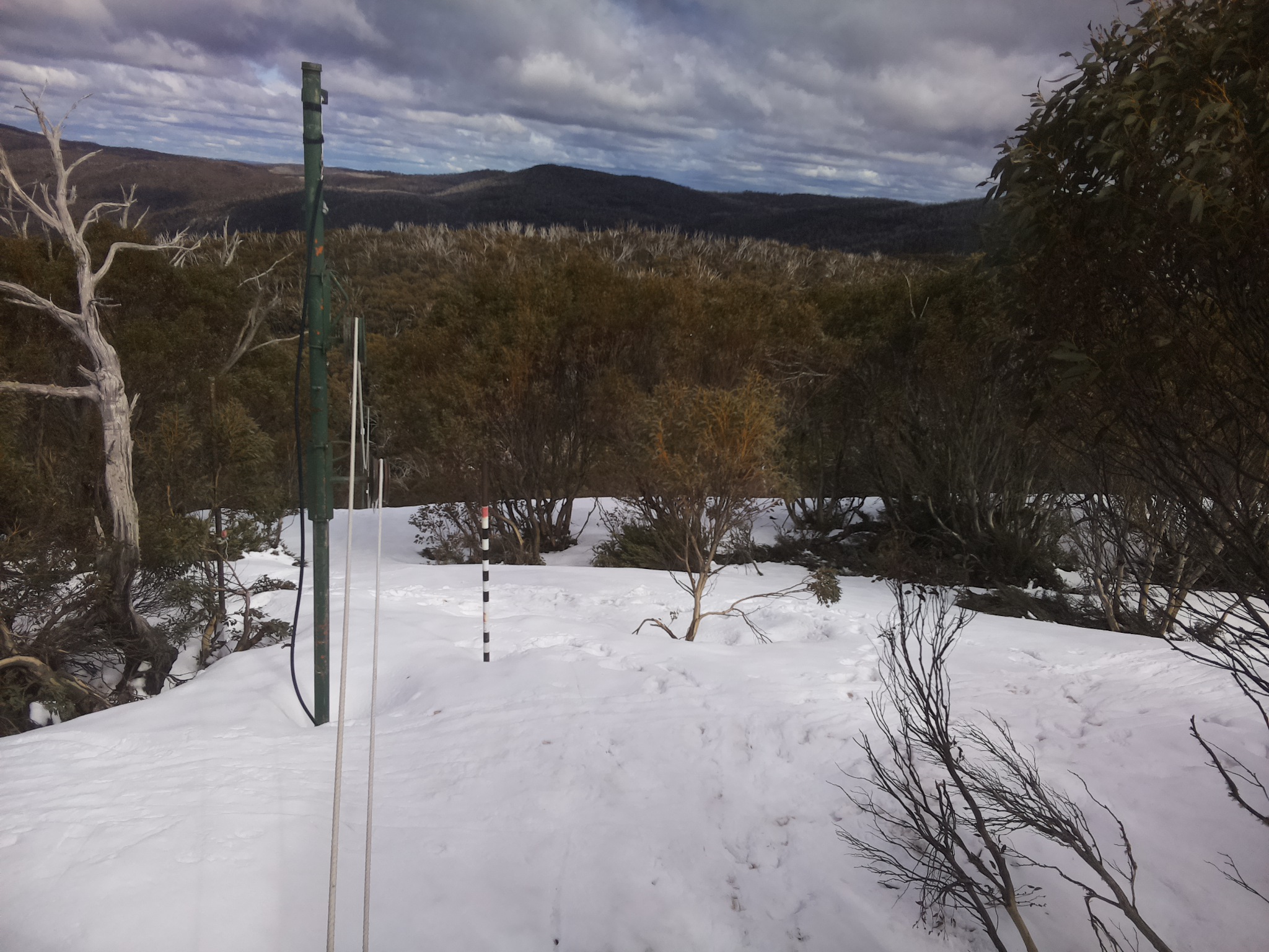 Bogong Web Cam 2:40pm Friday 3rd of October 2025