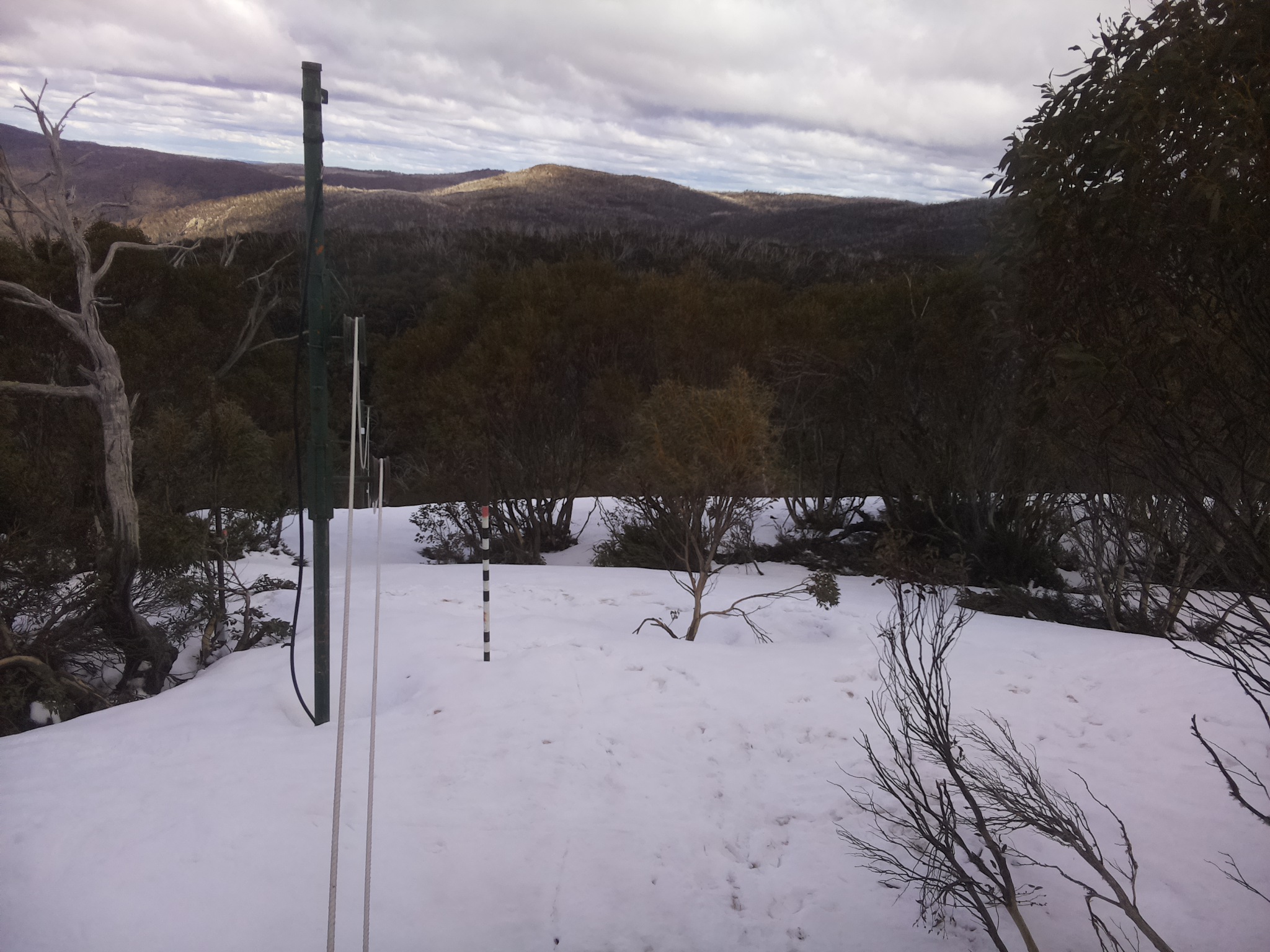 Bogong Web Cam 2:50pm Friday 3rd of October 2025