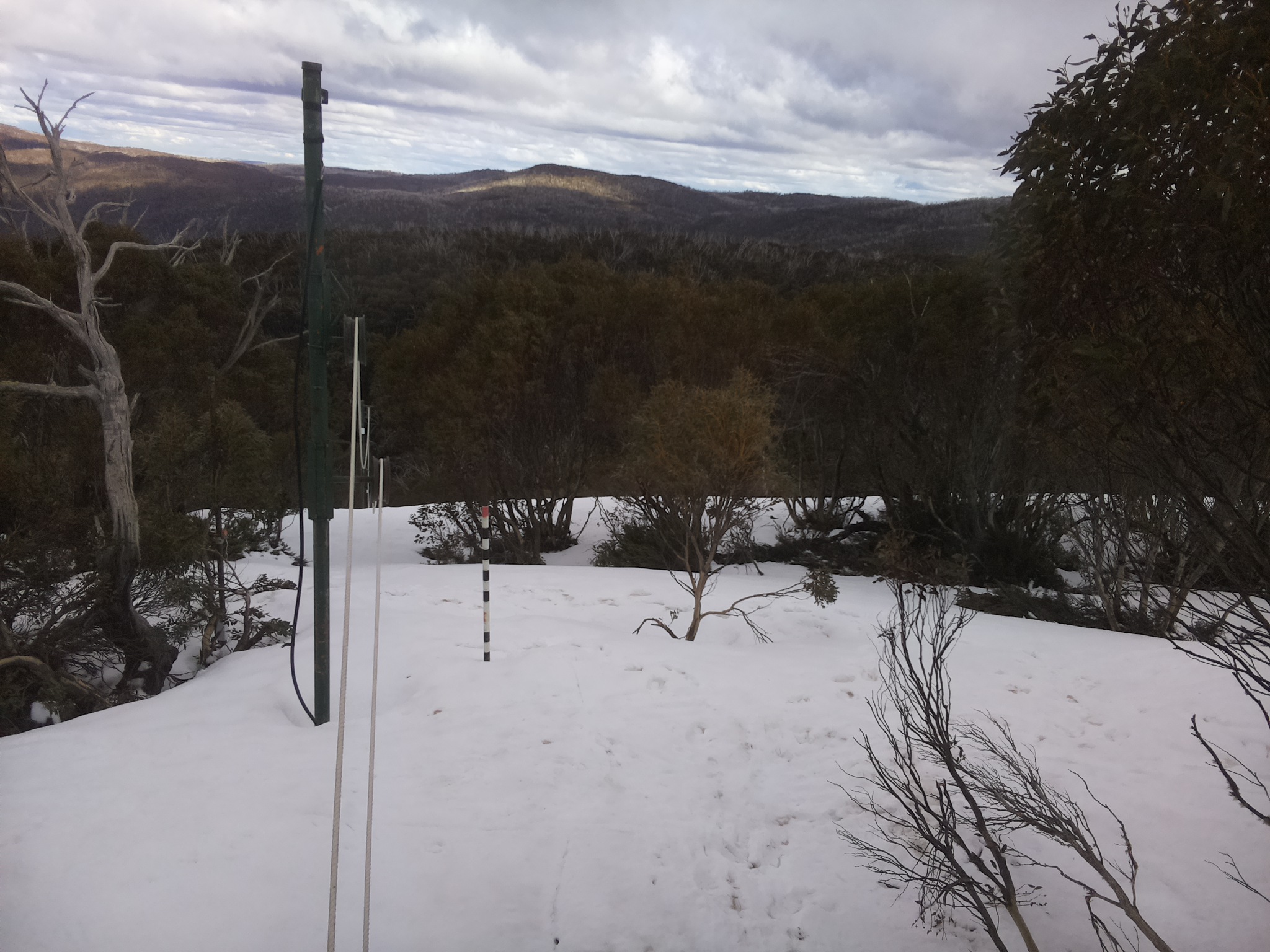 Bogong Web Cam 3:00pm Friday 3rd of October 2025