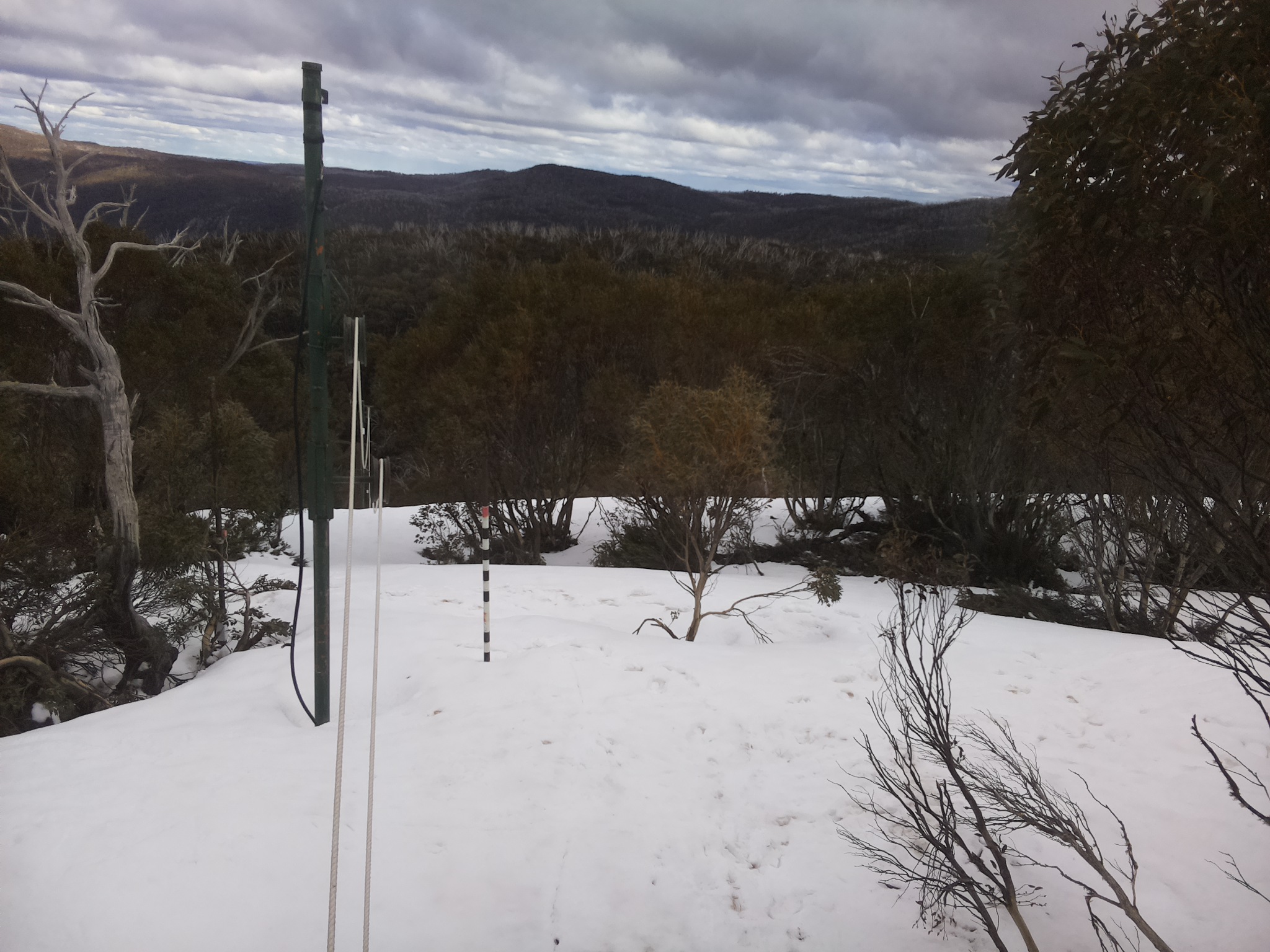 Bogong Web Cam 3:20pm Friday 3rd of October 2025