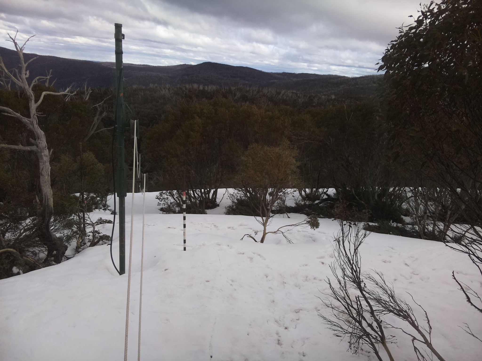 Bogong Web Cam 3:40pm Friday 3rd of October 2025