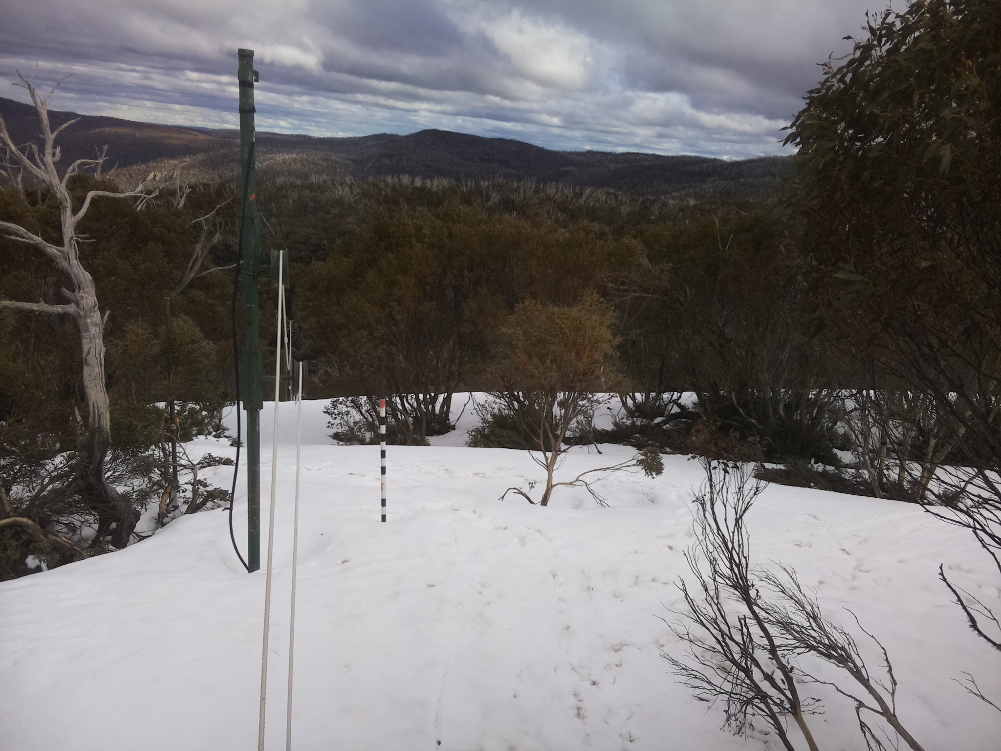 Bogong Web Cam 3:50pm Friday 3rd of October 2025