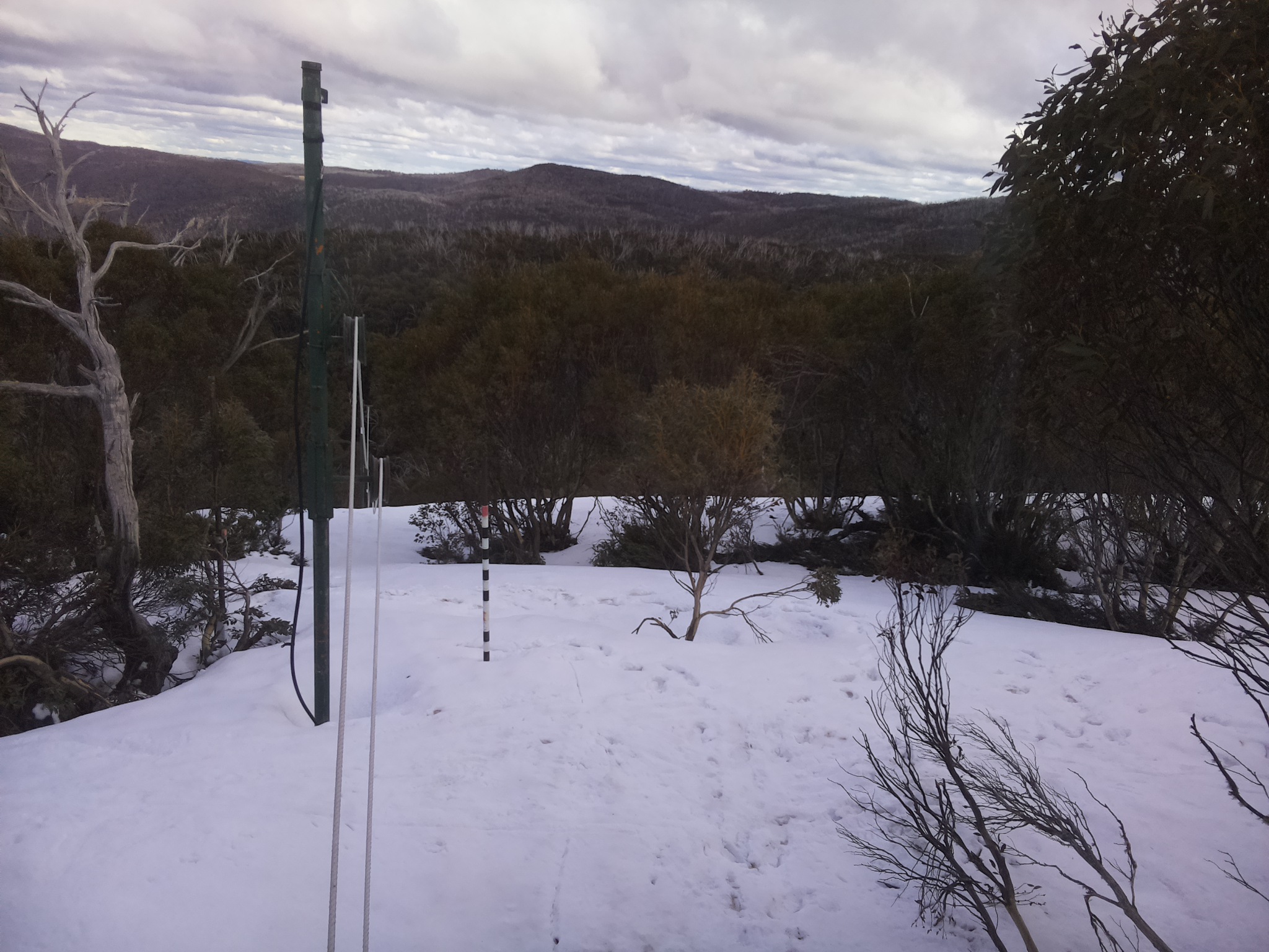 Bogong Web Cam 4:00pm Friday 3rd of October 2025