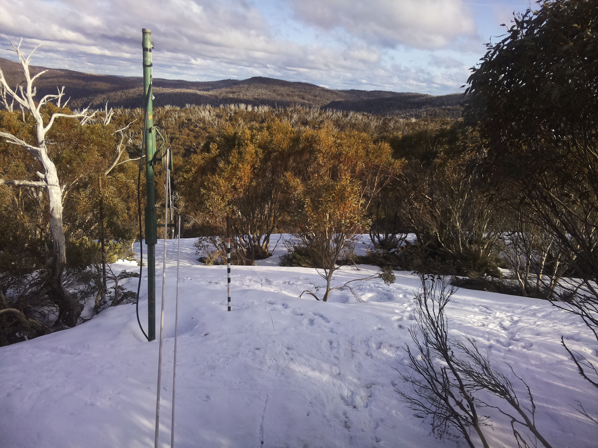 Bogong Web Cam 4:40pm Friday 3rd of October 2025