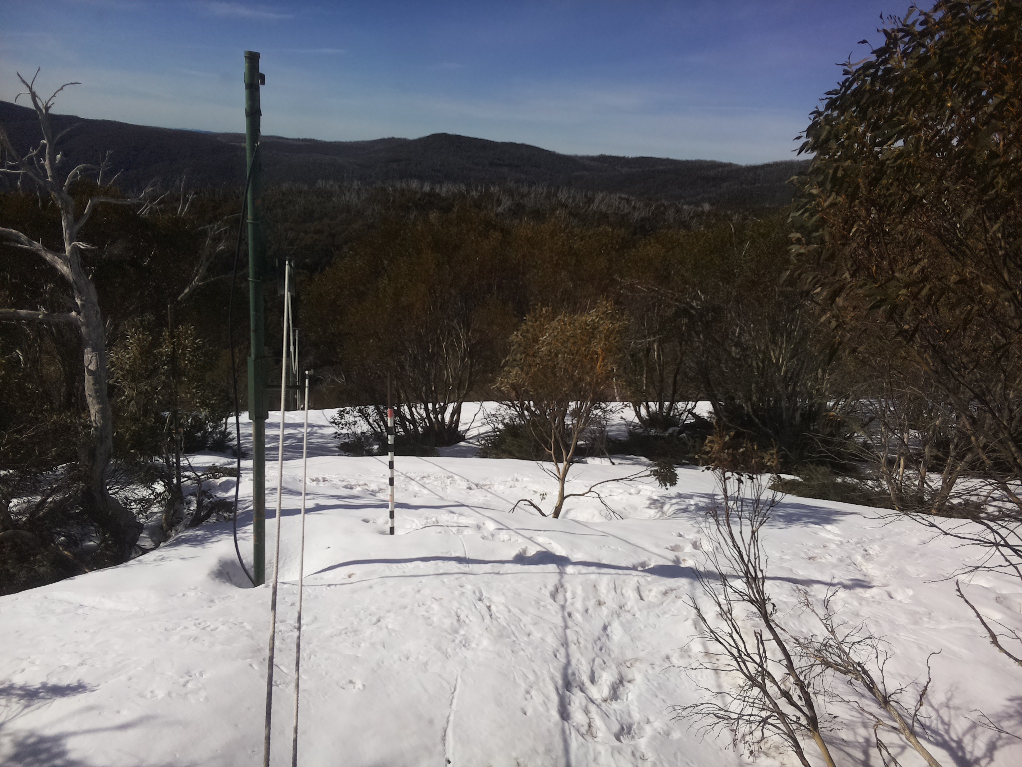Bogong Web Cam 8:50am Saturday 4th of October 2025