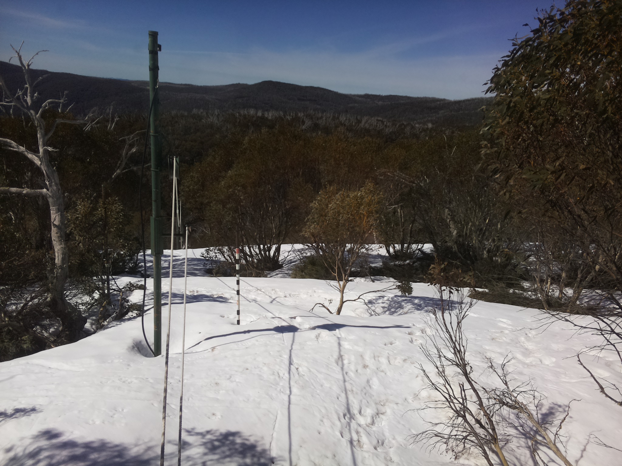 Bogong Web Cam 9:50am Saturday 4th of October 2025