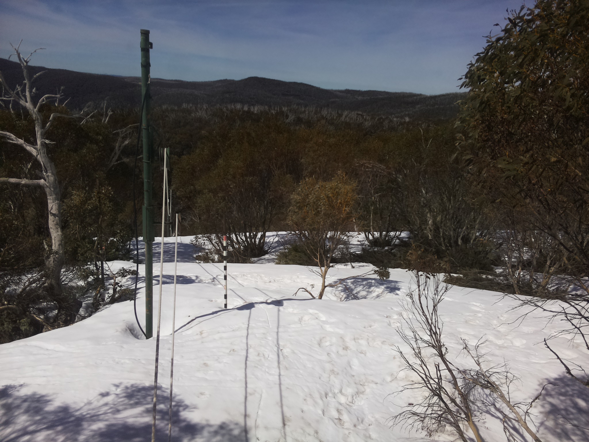 Bogong Web Cam 10:40am Saturday 4th of October 2025