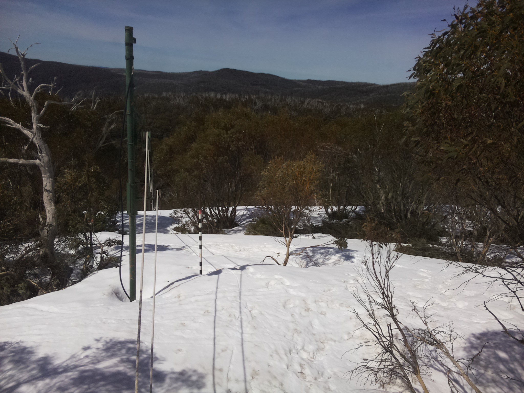Bogong Web Cam 10:50am Saturday 4th of October 2025