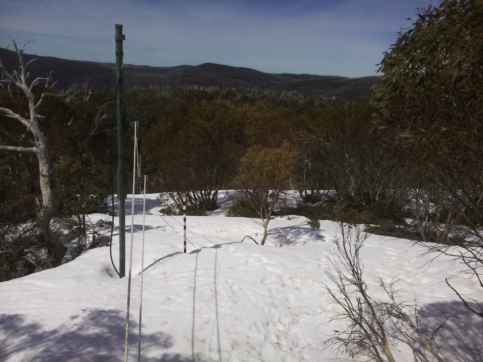 Bogong Web Cam 11:00am Saturday 4th of October 2025