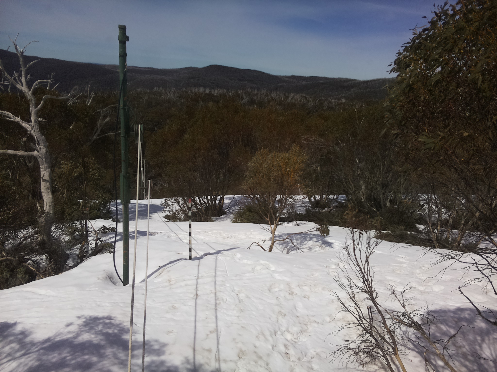 Bogong Web Cam 11:10am Saturday 4th of October 2025
