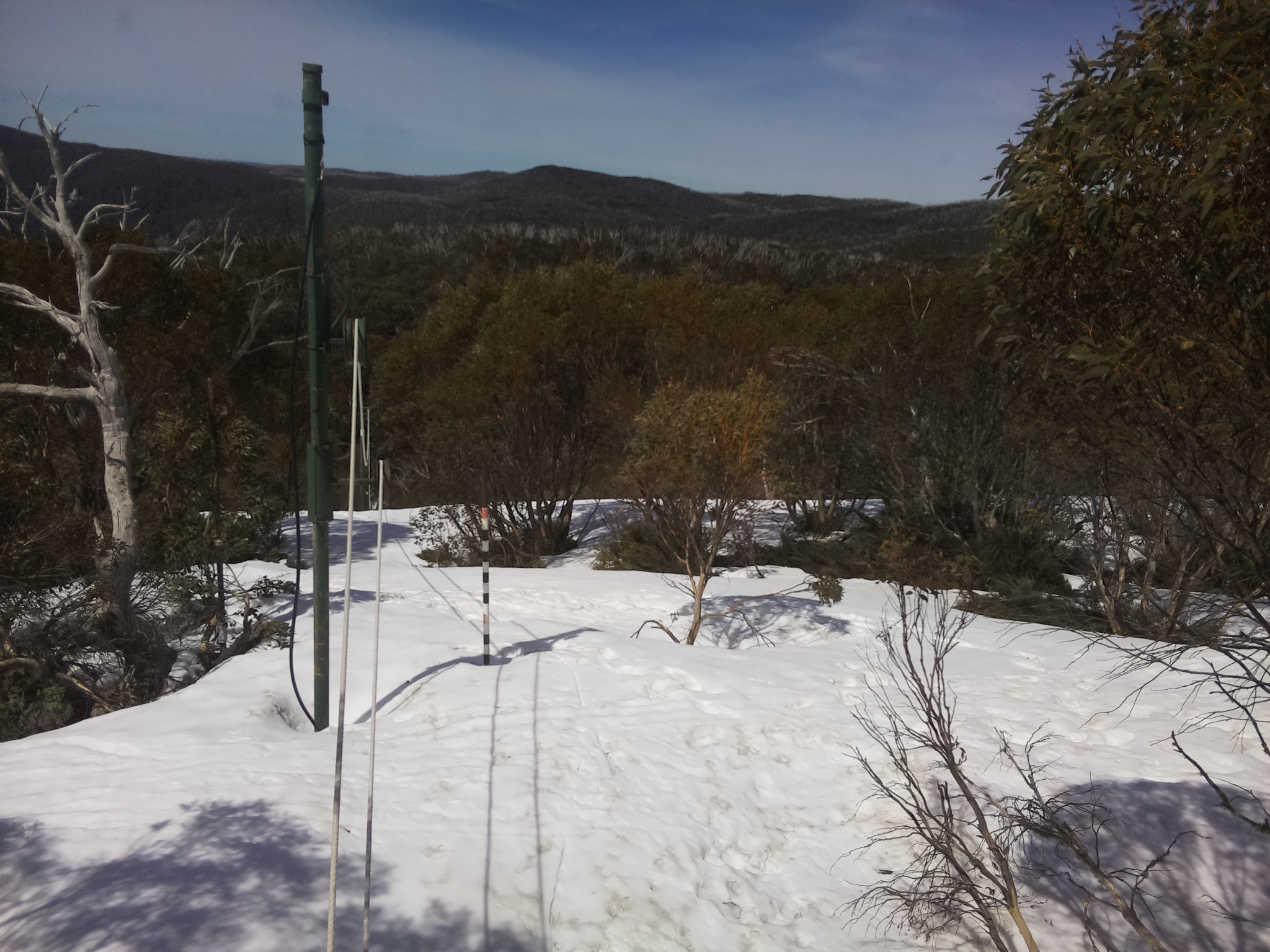 Bogong Web Cam 11:20am Saturday 4th of October 2025