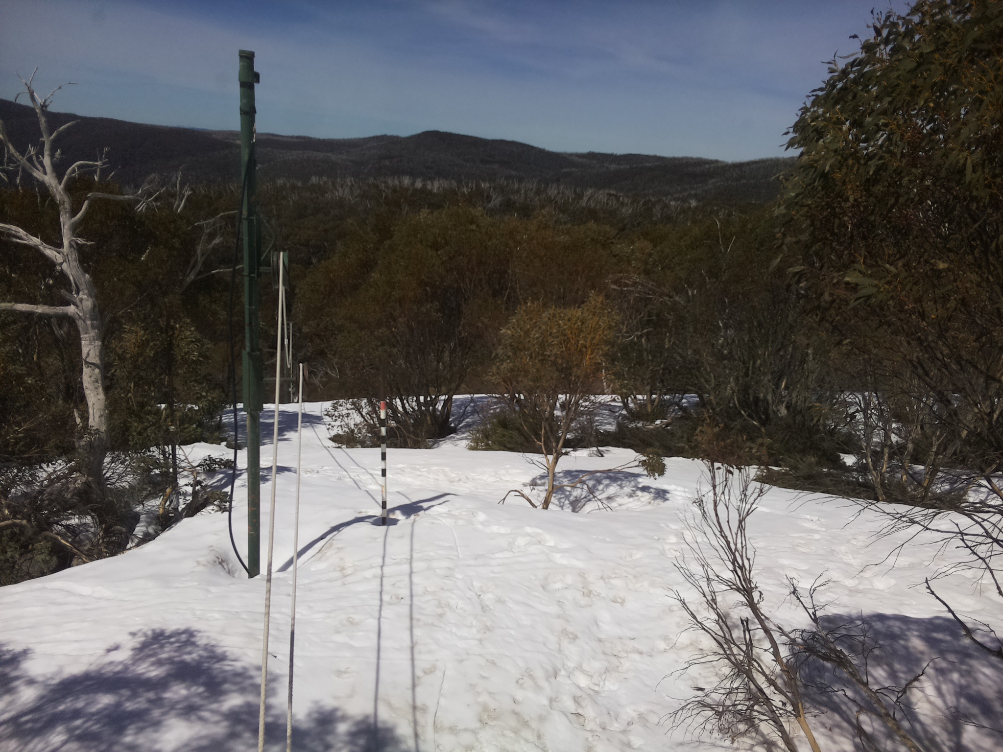 Bogong Web Cam 11:30am Saturday 4th of October 2025