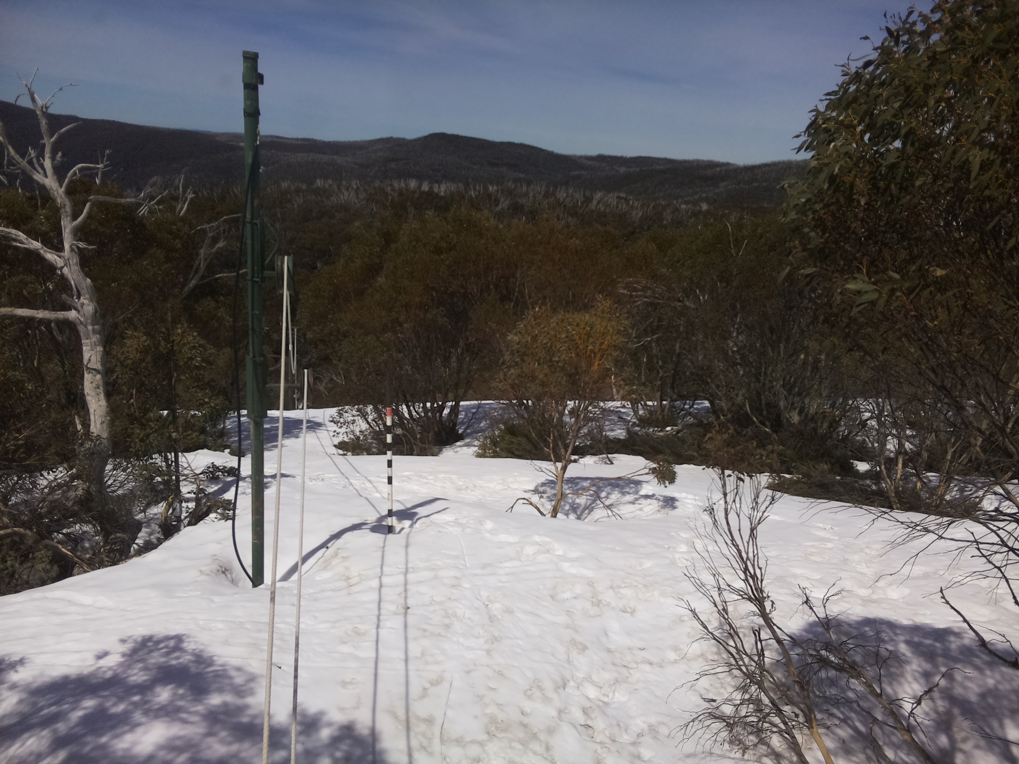 Bogong Web Cam 11:40am Saturday 4th of October 2025