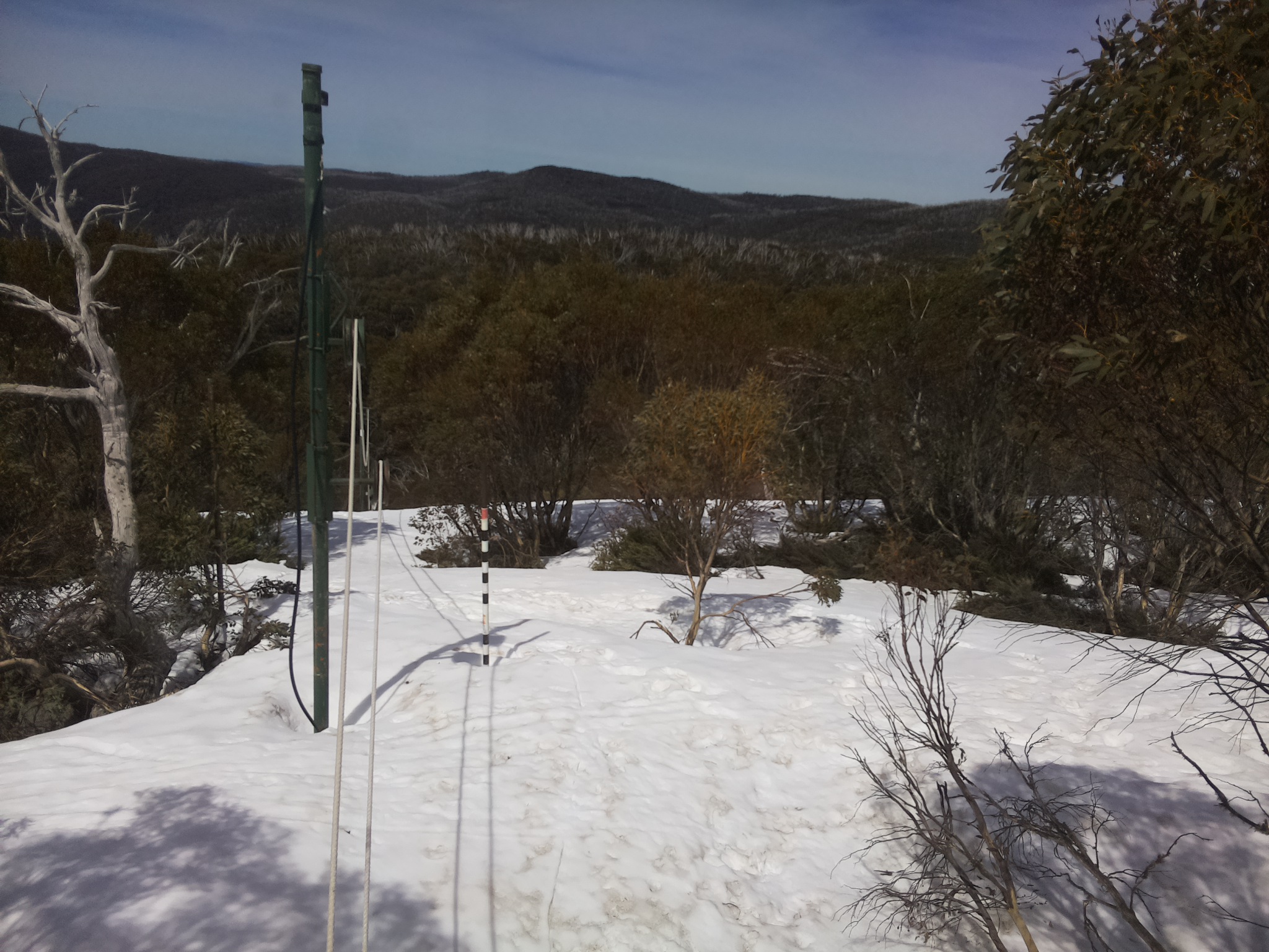 Bogong Web Cam 11:50am Saturday 4th of October 2025
