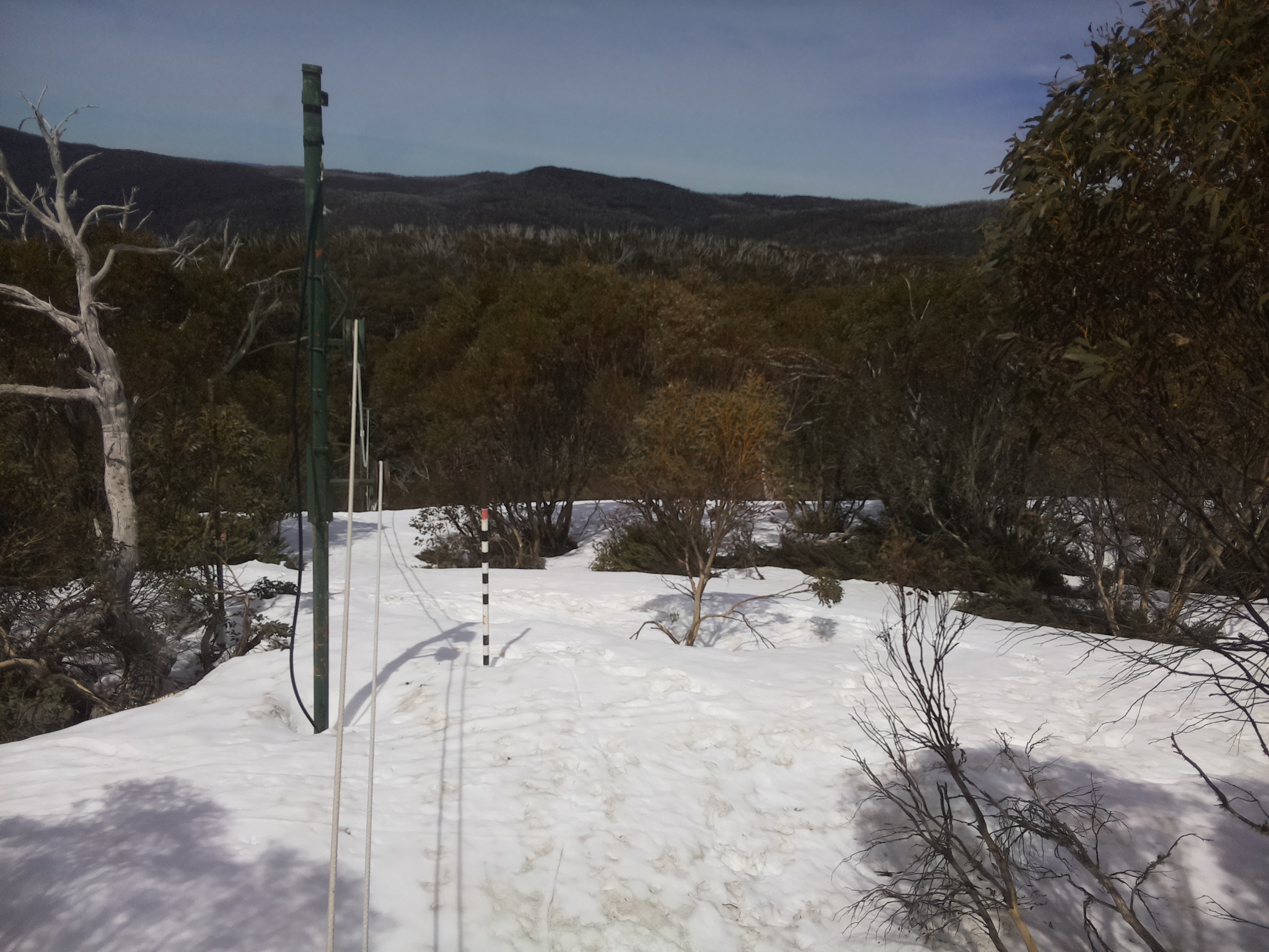 Bogong Web Cam 12:10pm Saturday 4th of October 2025