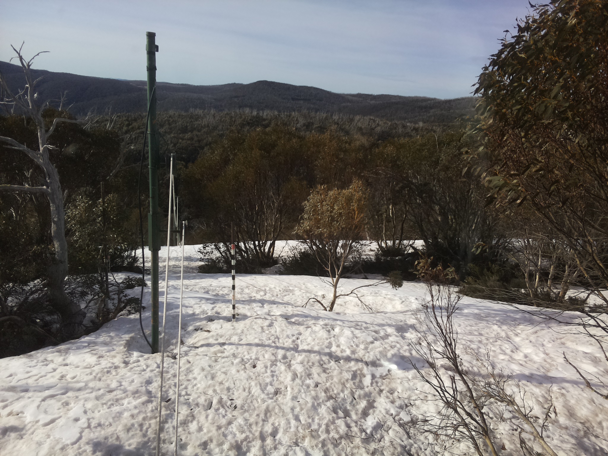 Bogong Web Cam 8:50am Sunday 5th of October 2025