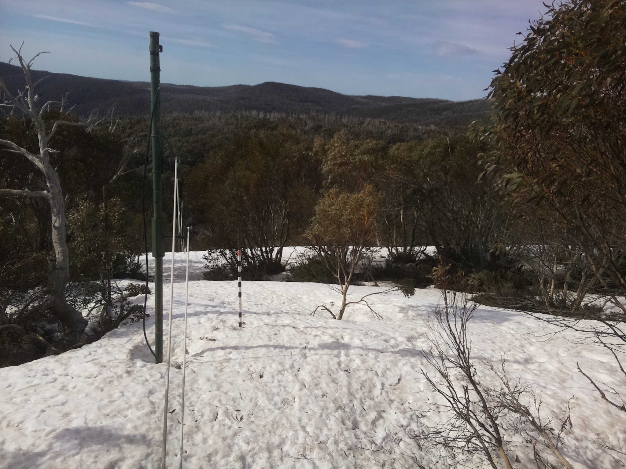 Bogong Web Cam 9:50am Sunday 5th of October 2025