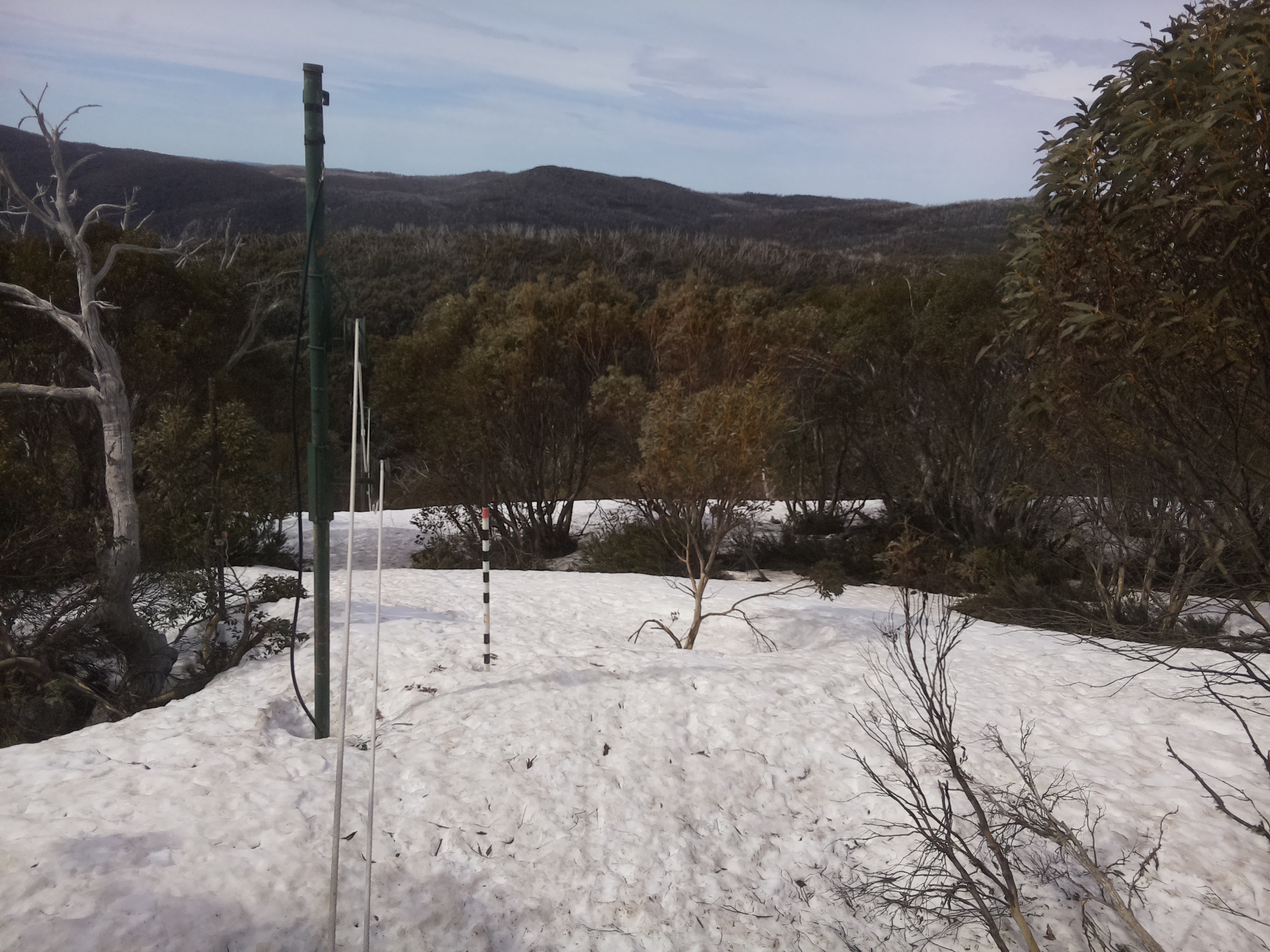 Bogong Web Cam 11:00am Sunday 5th of October 2025