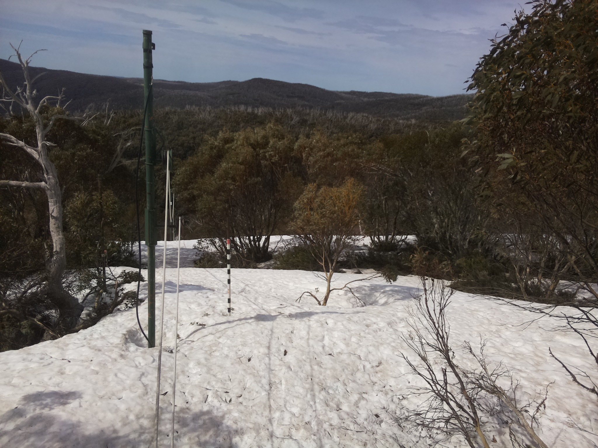 Bogong Web Cam 11:10am Sunday 5th of October 2025