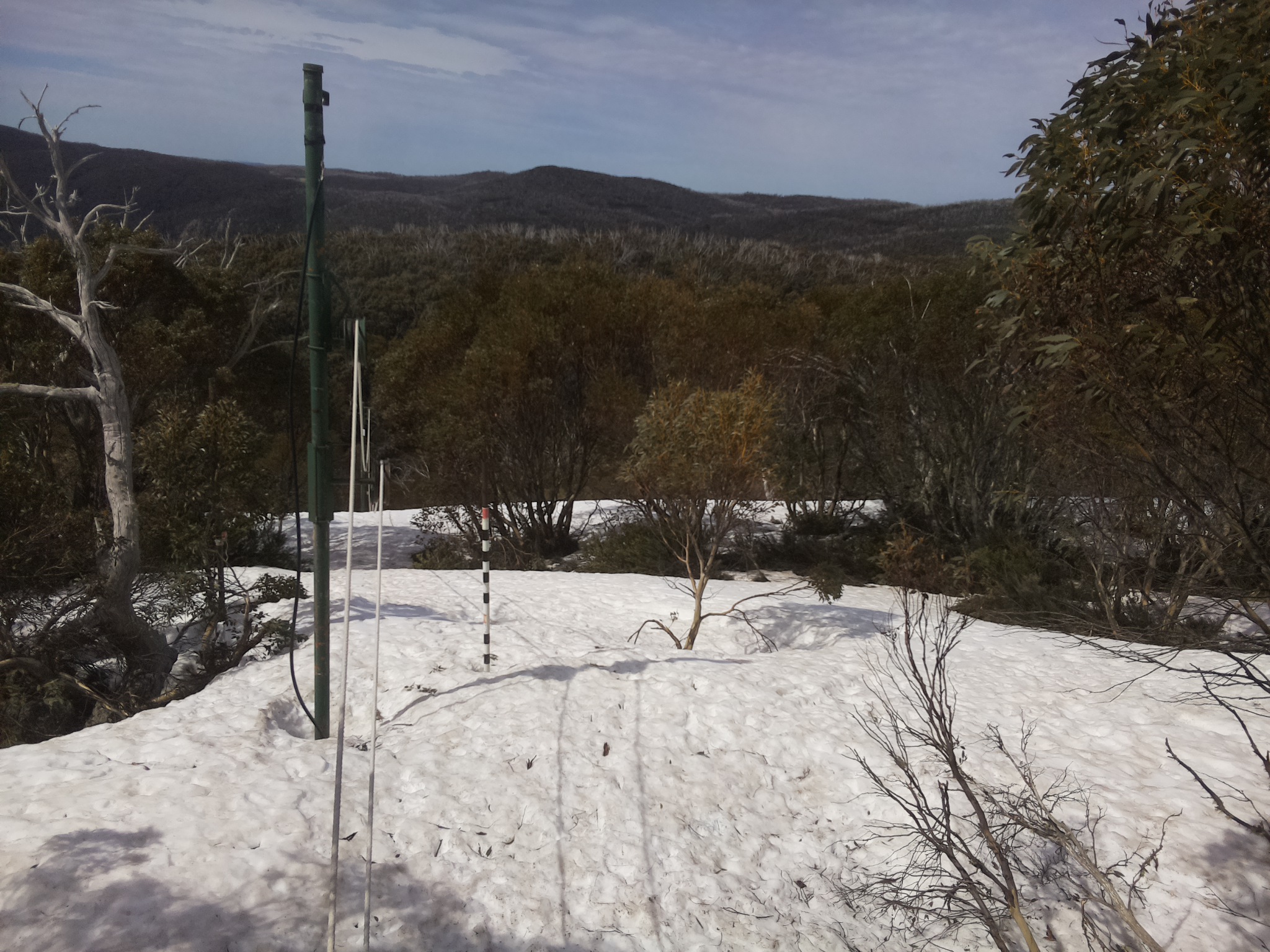 Bogong Web Cam 11:20am Sunday 5th of October 2025