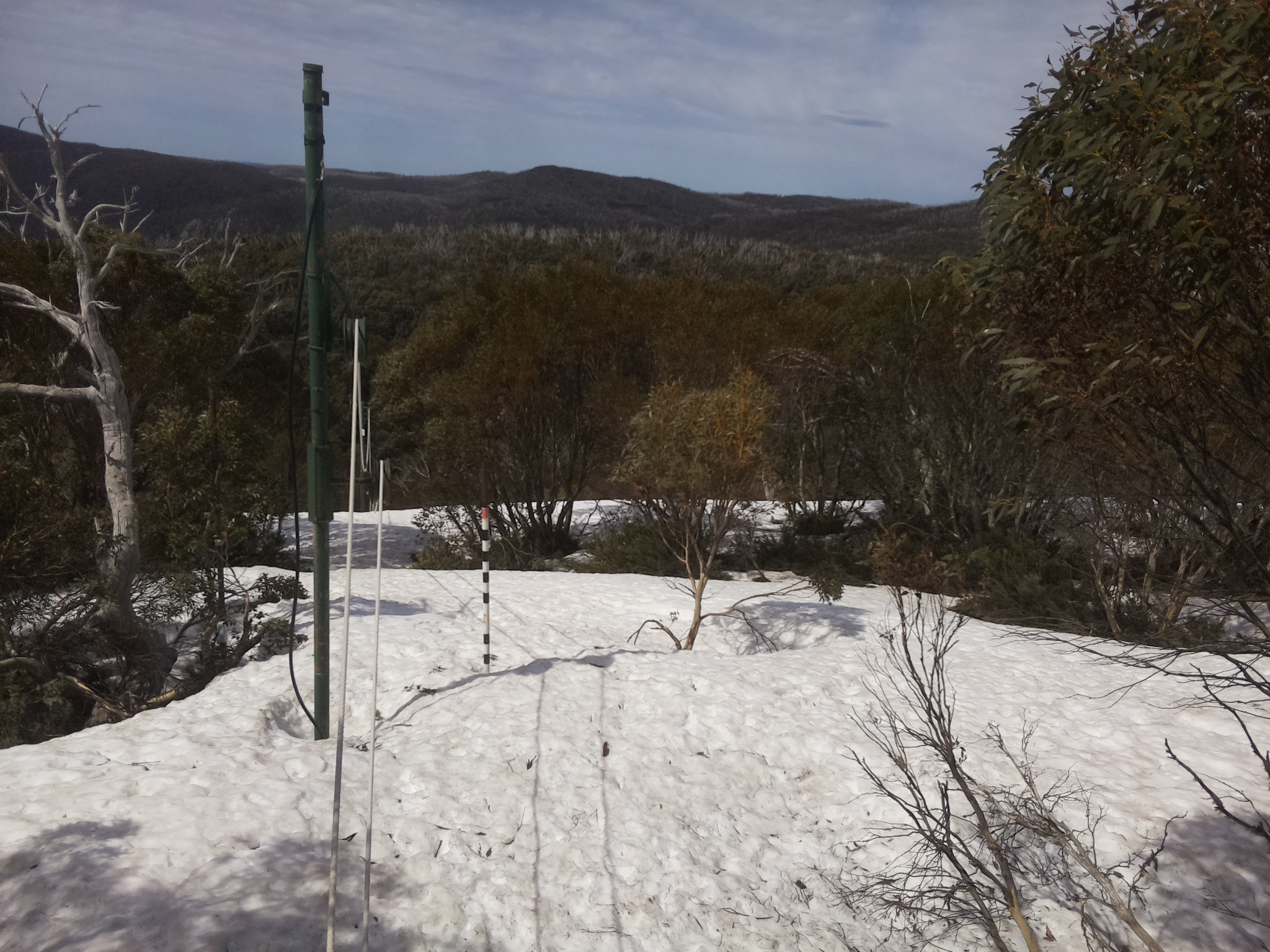 Bogong Web Cam 11:40am Sunday 5th of October 2025