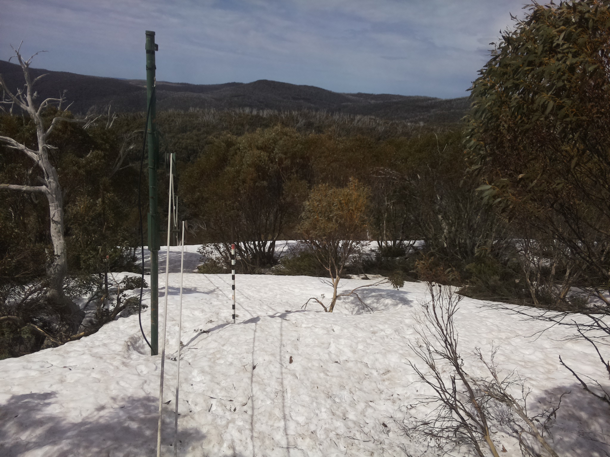Bogong Web Cam 11:50am Sunday 5th of October 2025