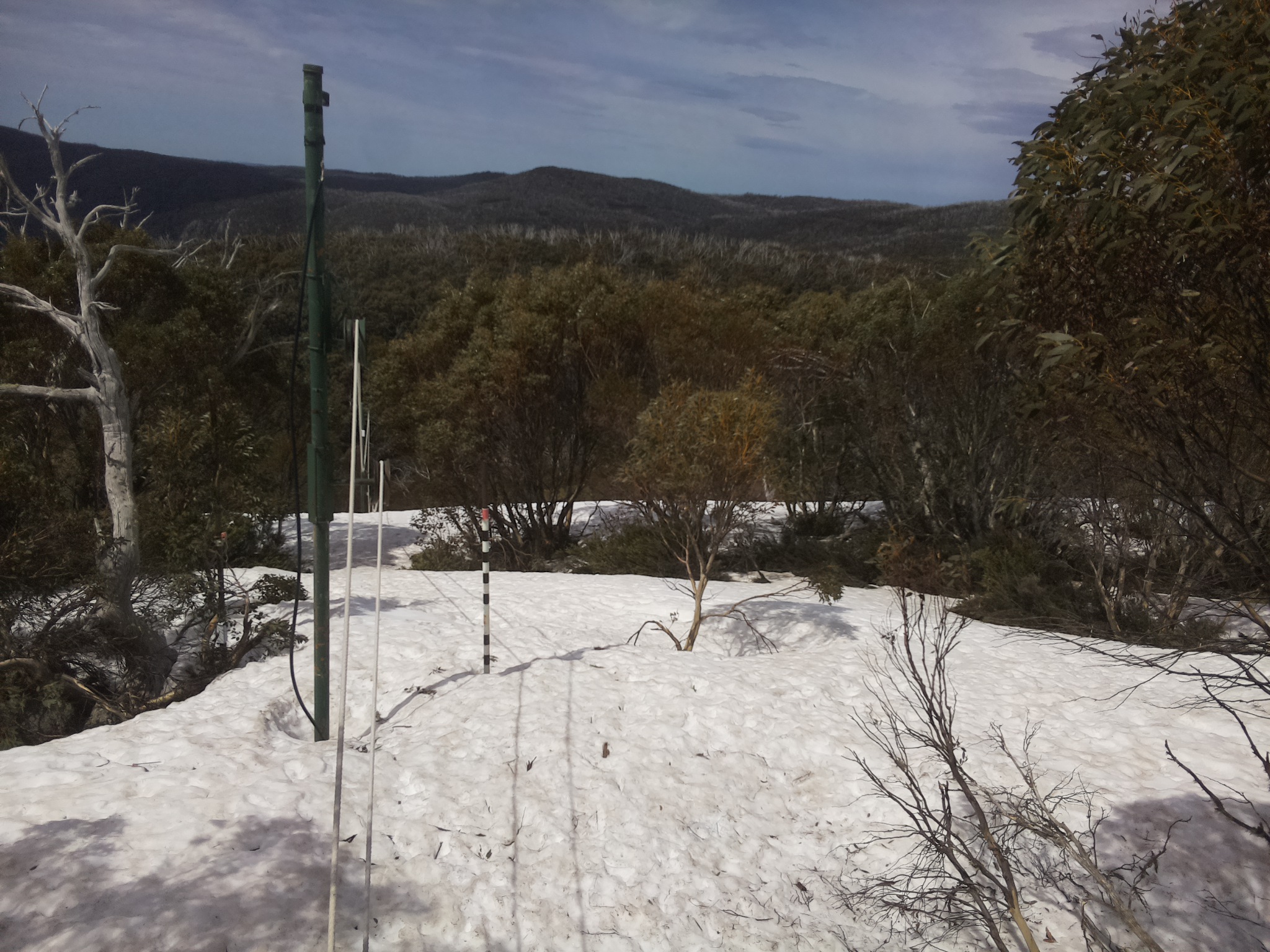 Bogong Web Cam 12:00pm Sunday 5th of October 2025