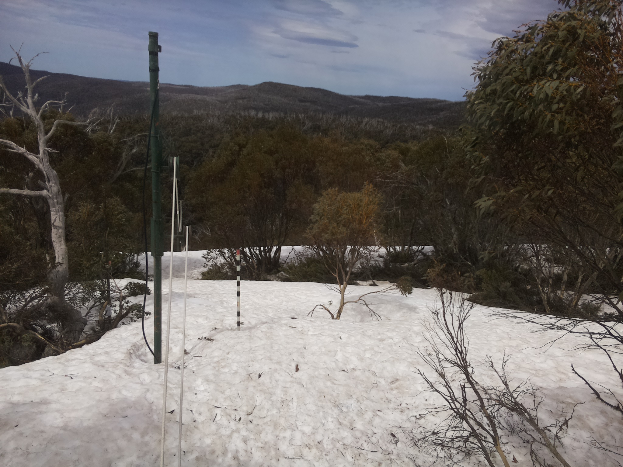 Bogong Web Cam 12:10pm Sunday 5th of October 2025