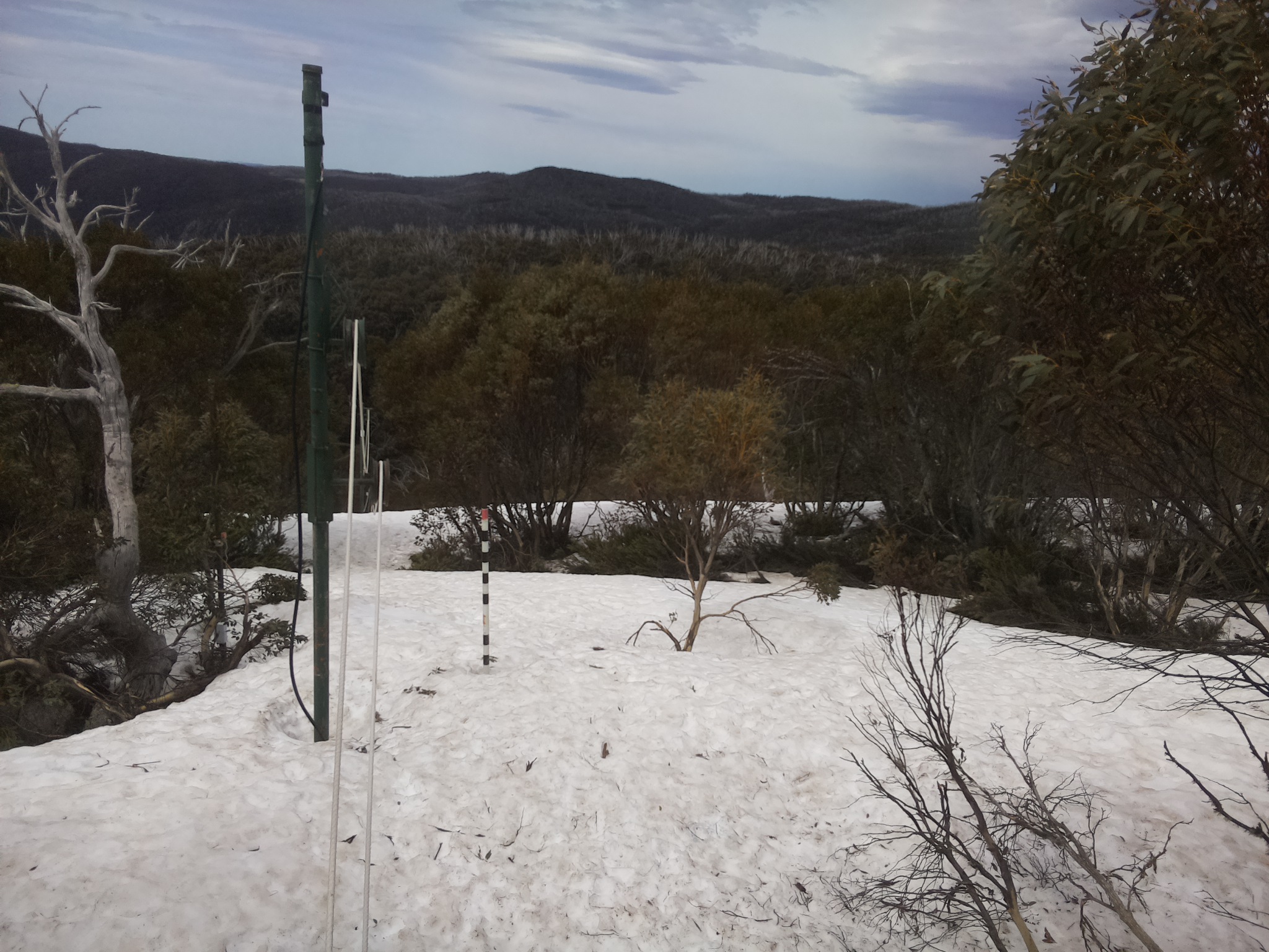 Bogong Web Cam 12:20pm Sunday 5th of October 2025