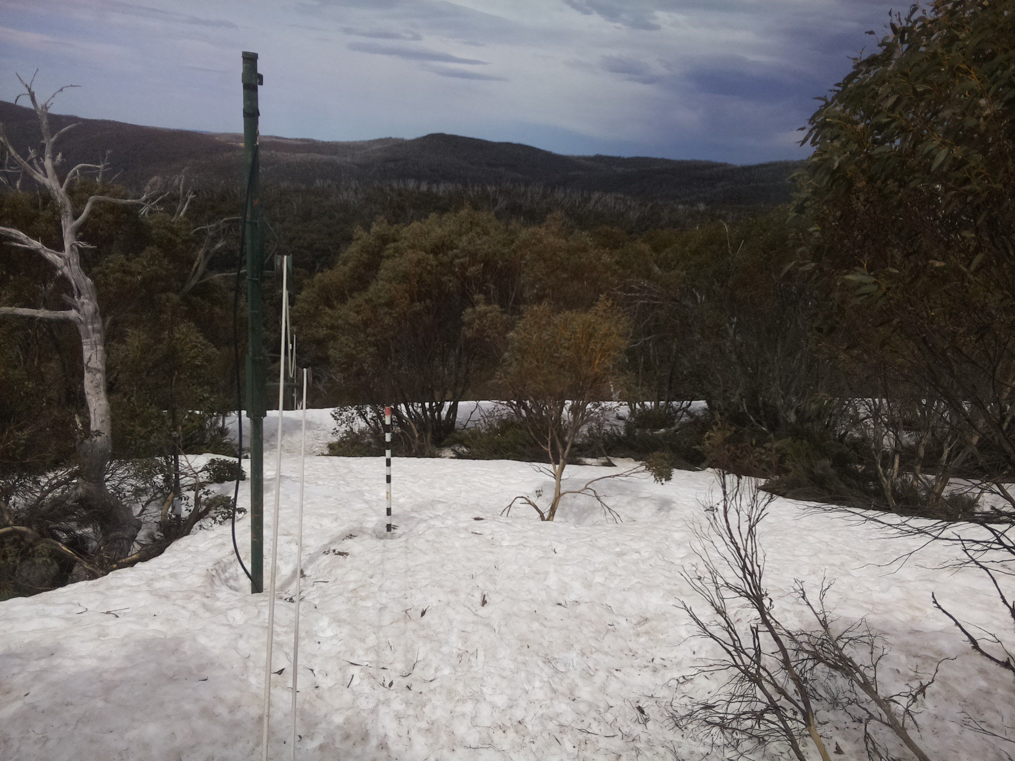 Bogong Web Cam 12:40pm Sunday 5th of October 2025