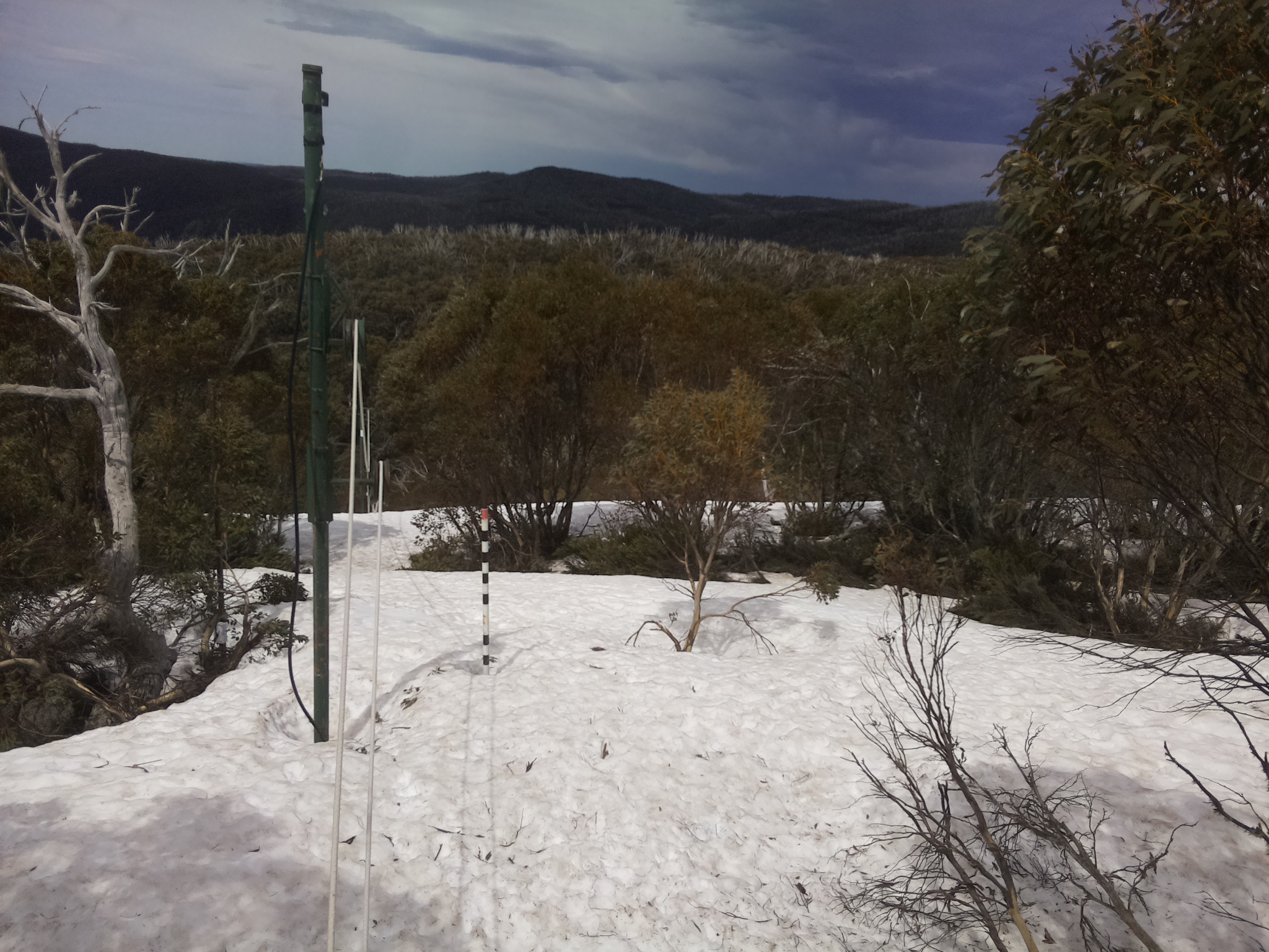 Bogong Web Cam 12:50pm Sunday 5th of October 2025