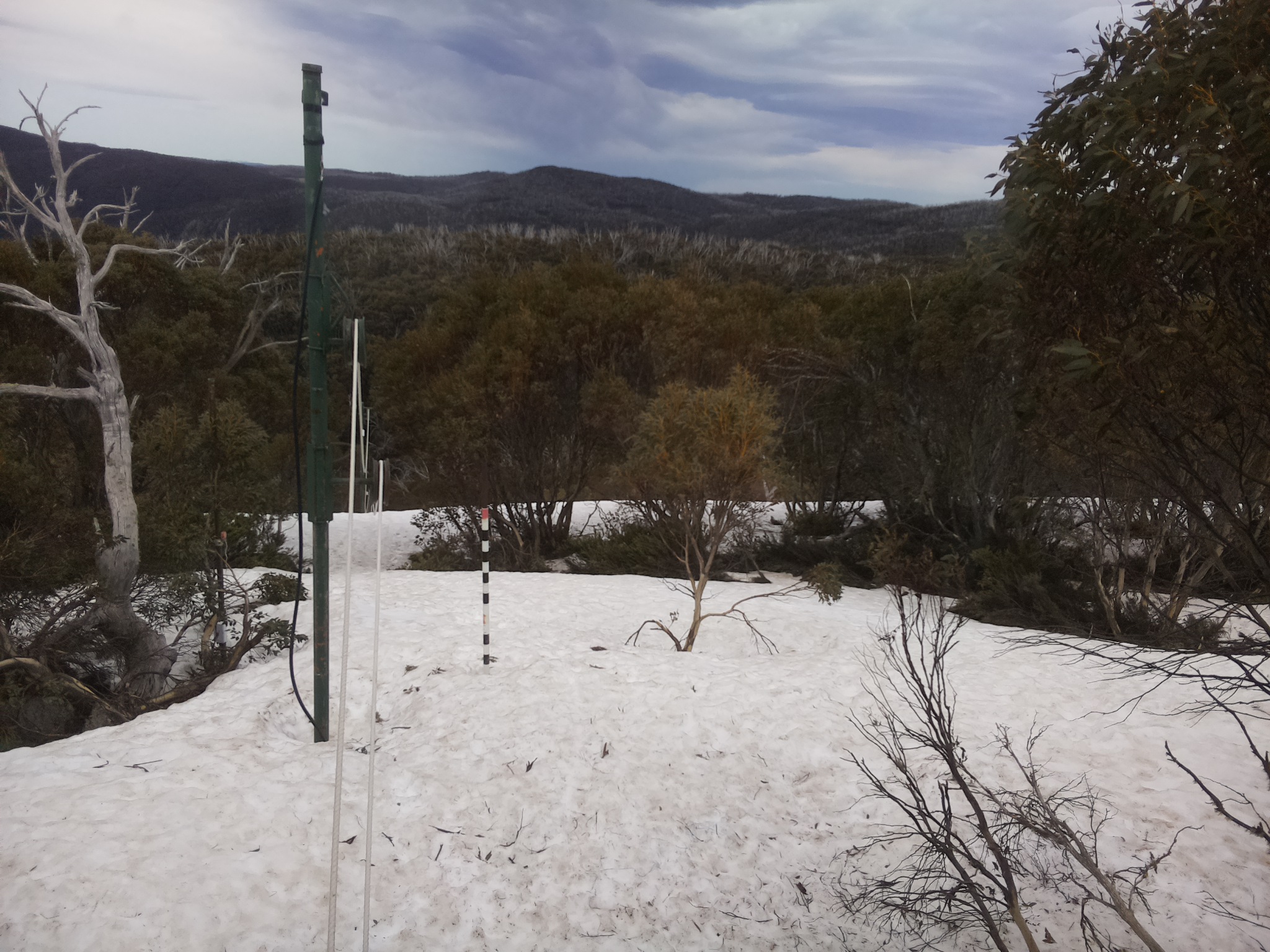 Bogong Web Cam 1:10pm Sunday 5th of October 2025