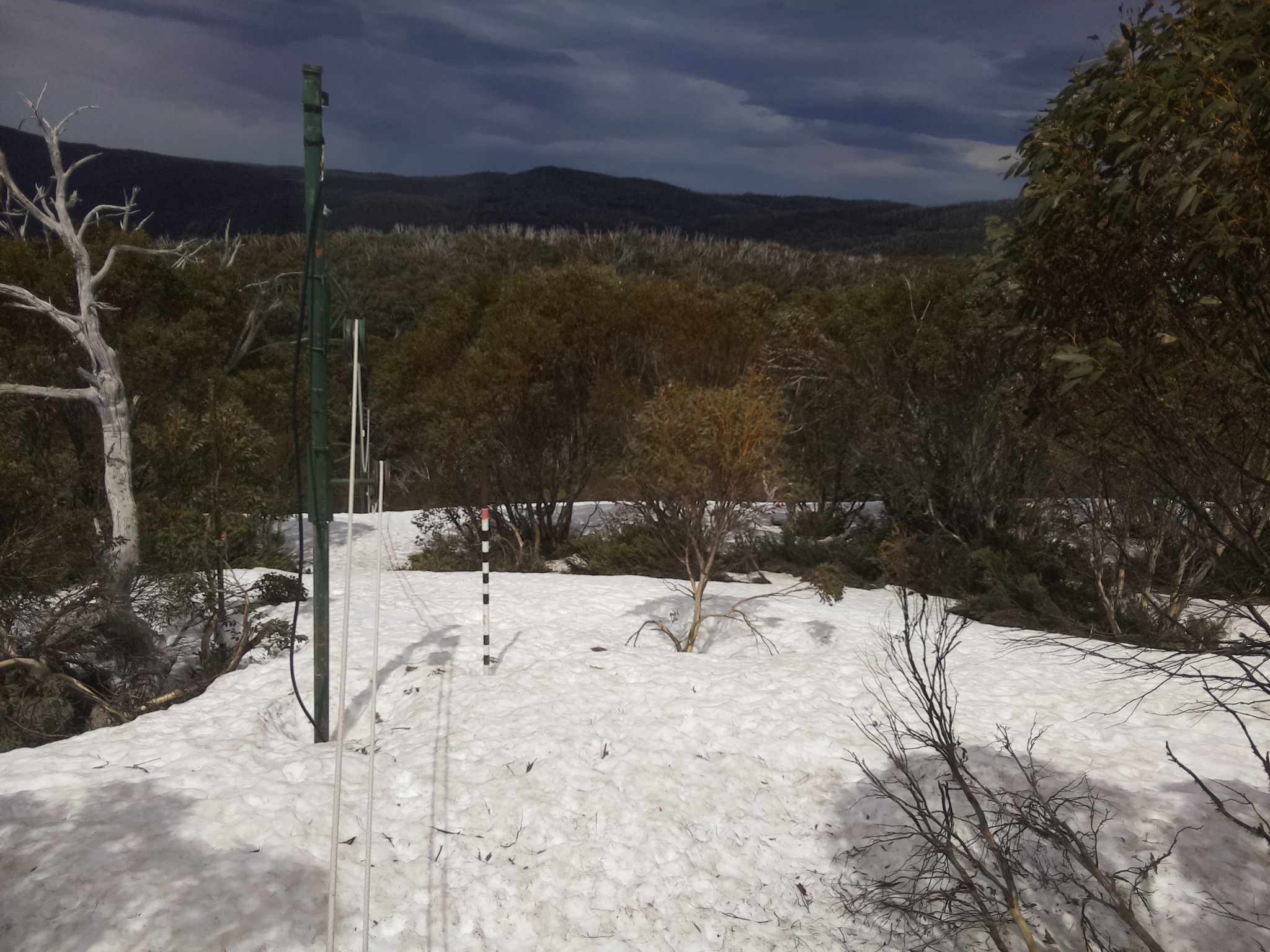Bogong Web Cam 1:20pm Sunday 5th of October 2025
