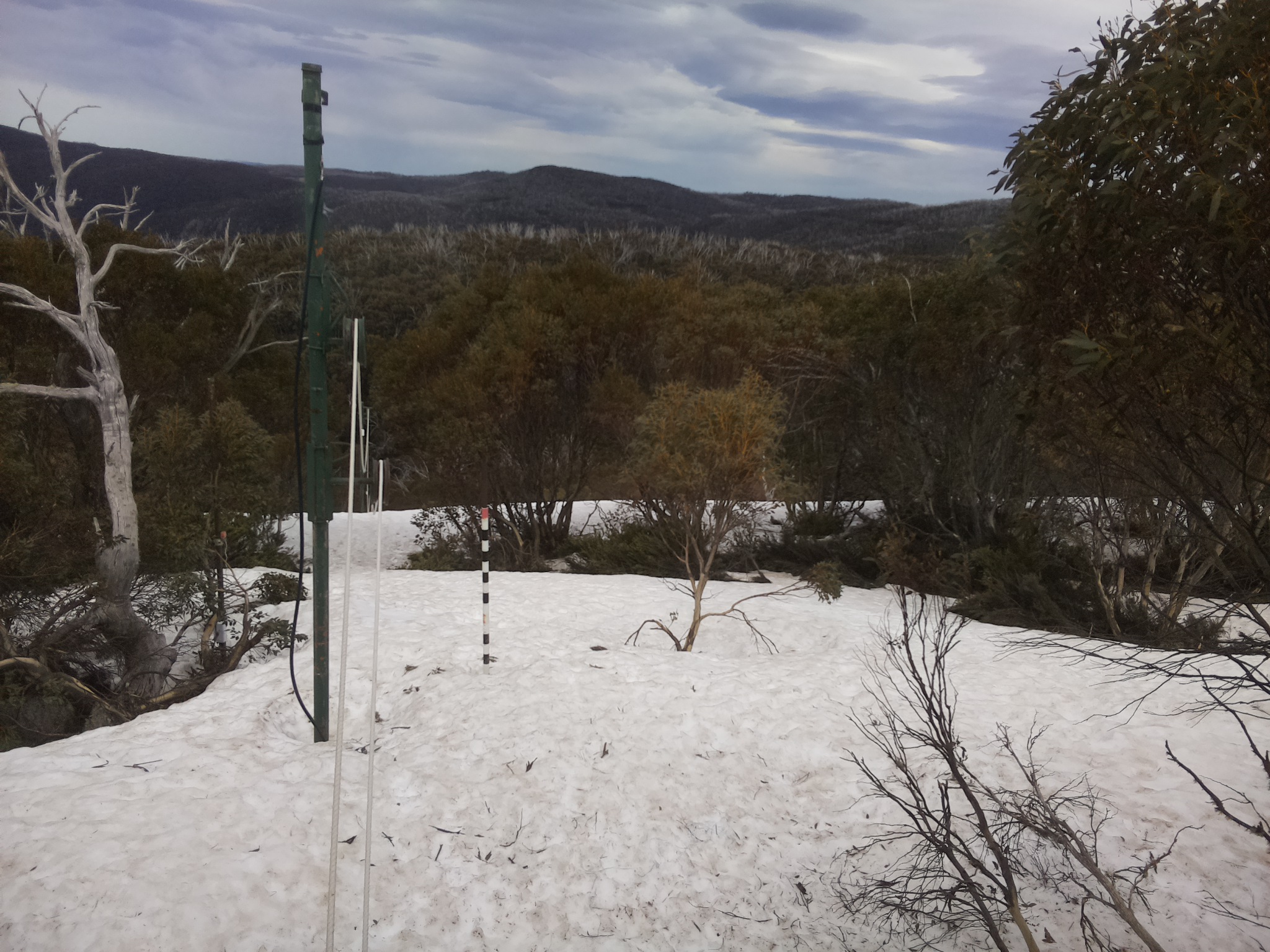 Bogong Web Cam 1:30pm Sunday 5th of October 2025