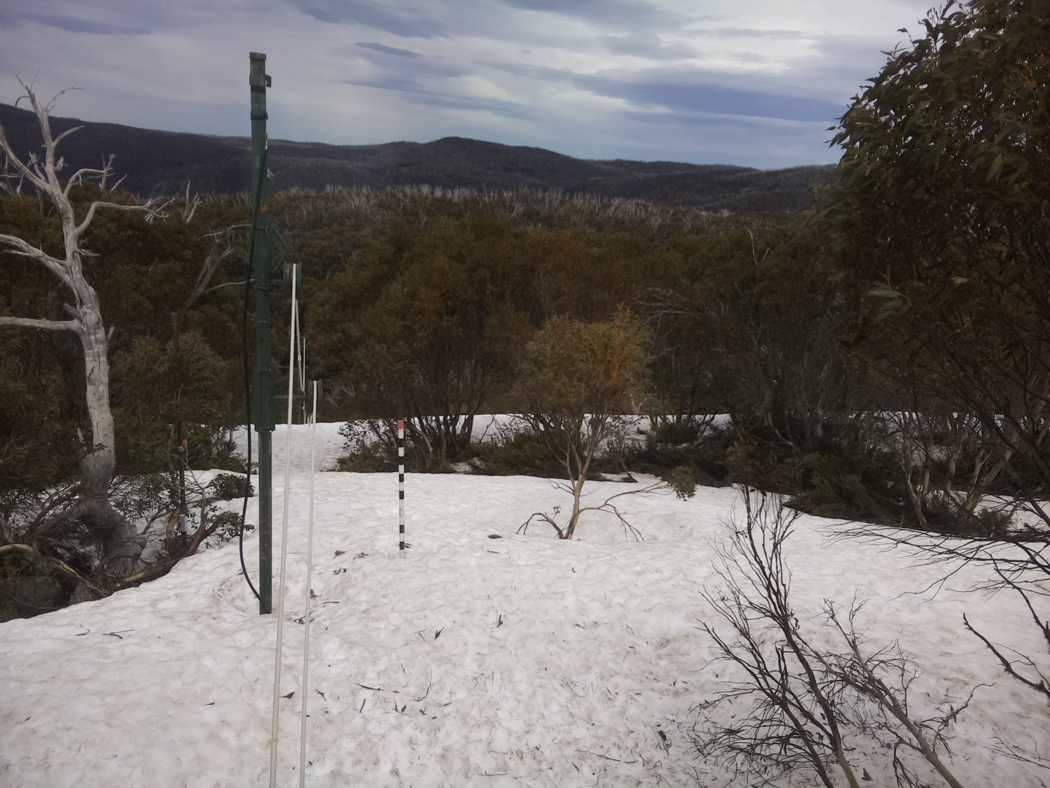 Bogong Web Cam 1:40pm Sunday 5th of October 2025
